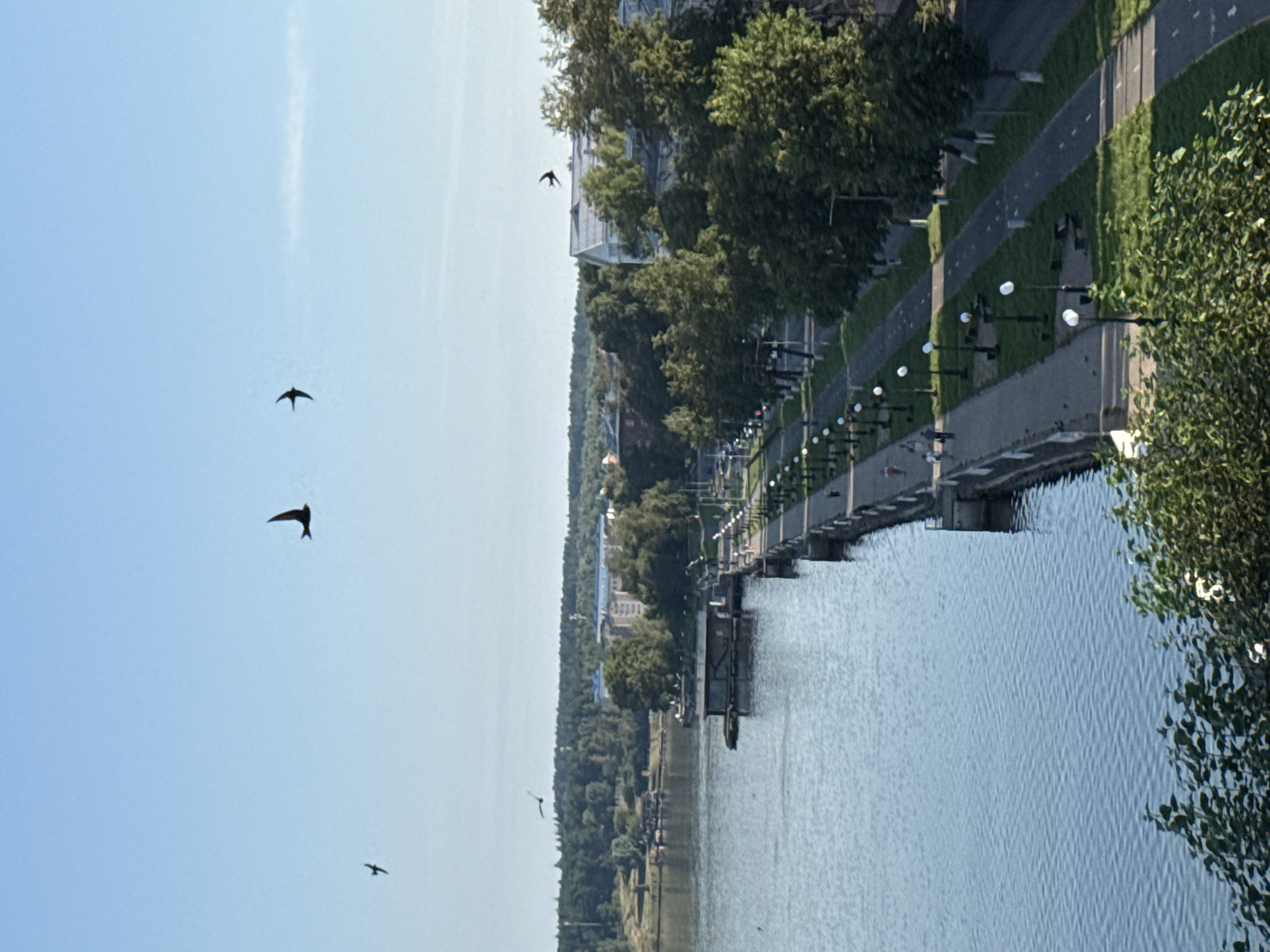 Quiet summer morning on Lake Votkinsk, birds and swimmers