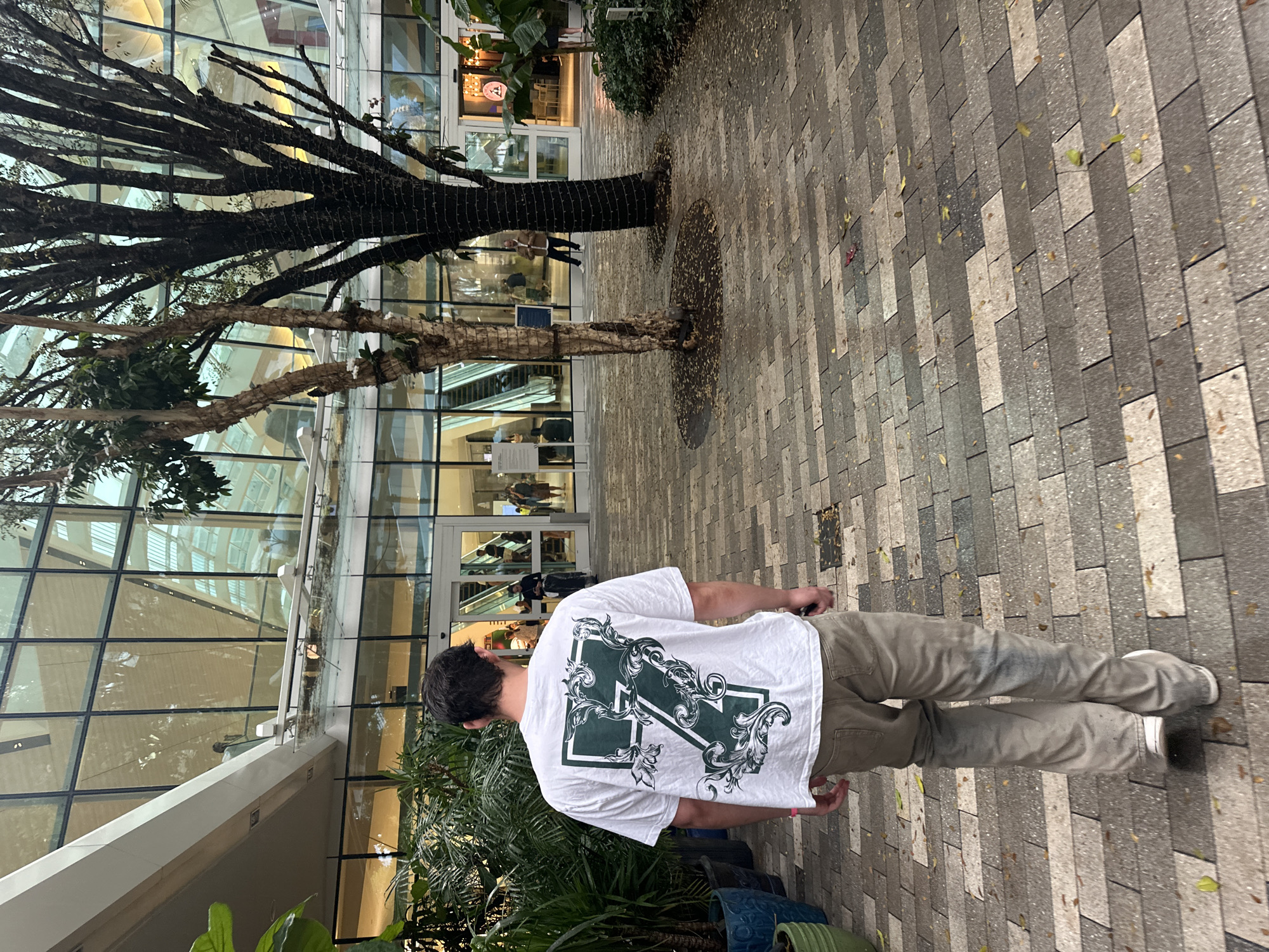 Man spotted at Aventura Mall's landscaped outdoor walkway