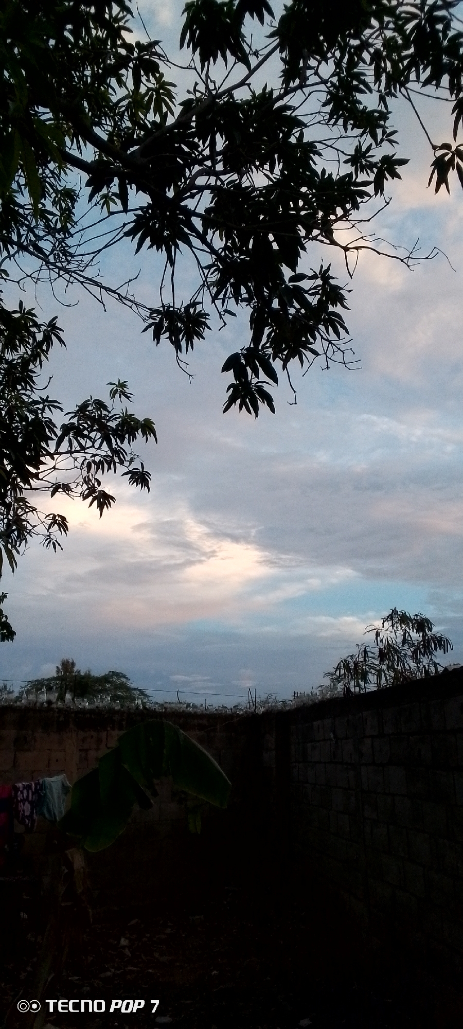 Sunset sky over Altagracia, framed by trees and power lines