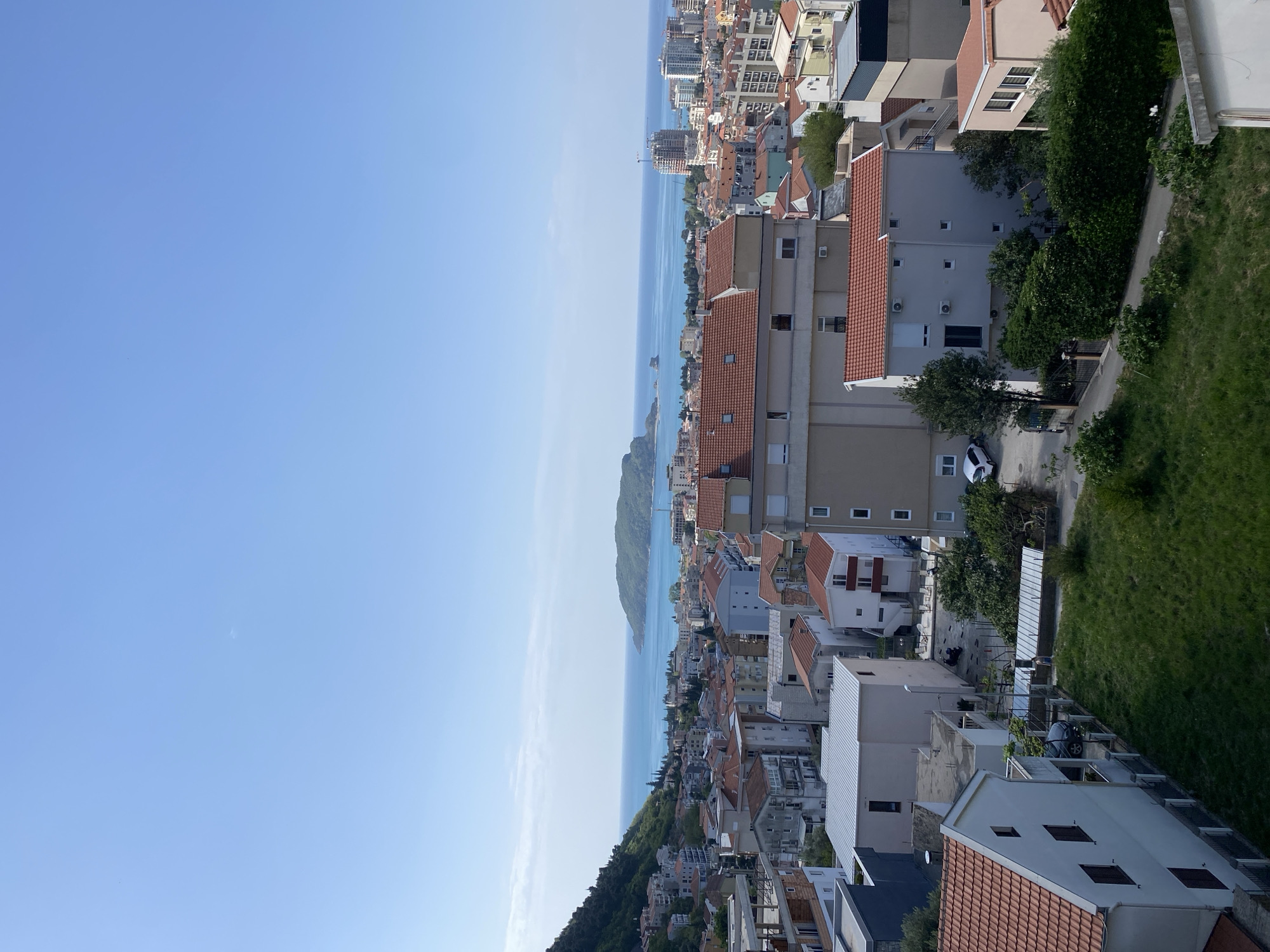Morning documentation of Budva's coastal scenery and tropical flora