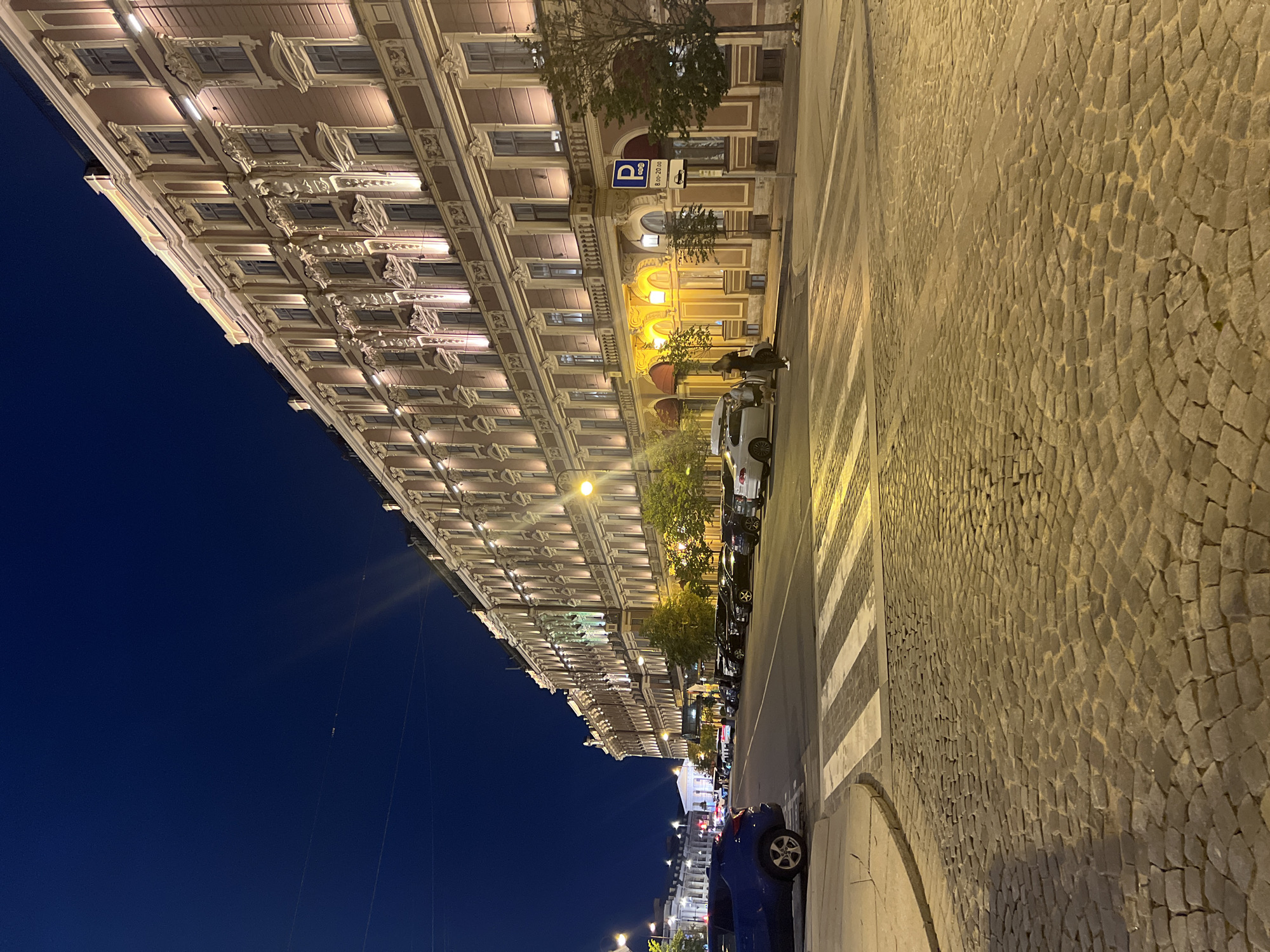 Saint Petersburg's grand historic center at night