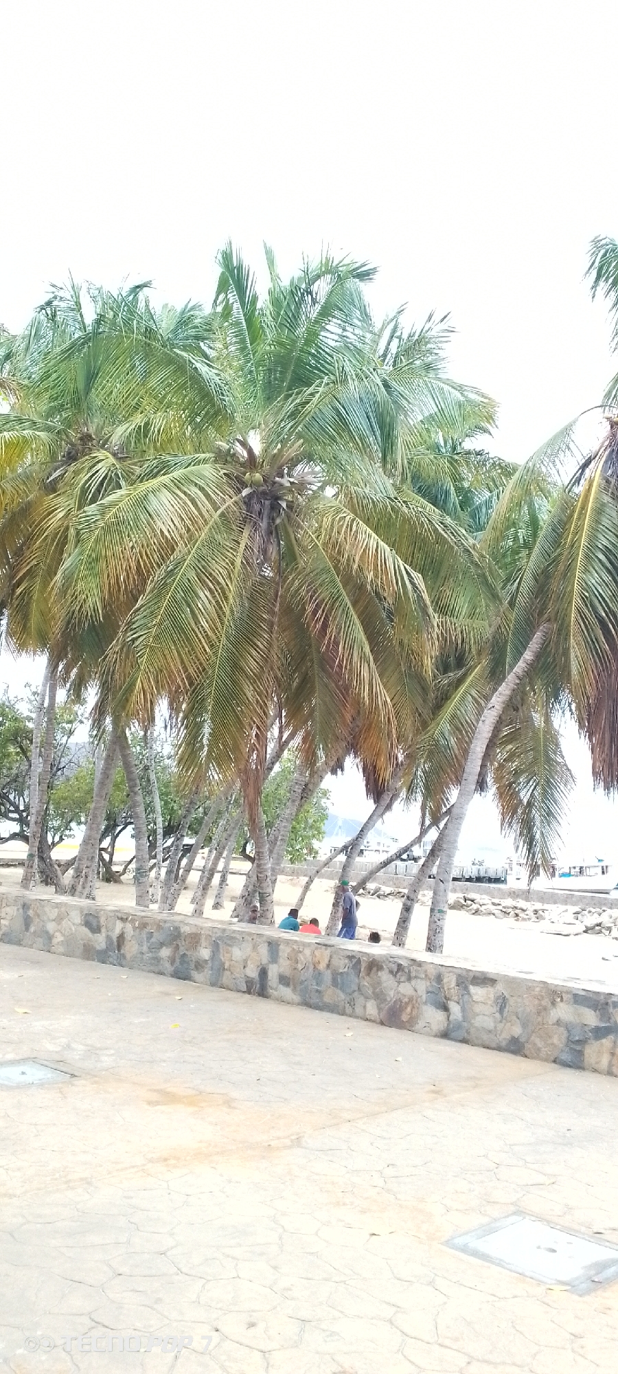 Ordinary afternoon life documented across coastal Altagracia, Venezuela