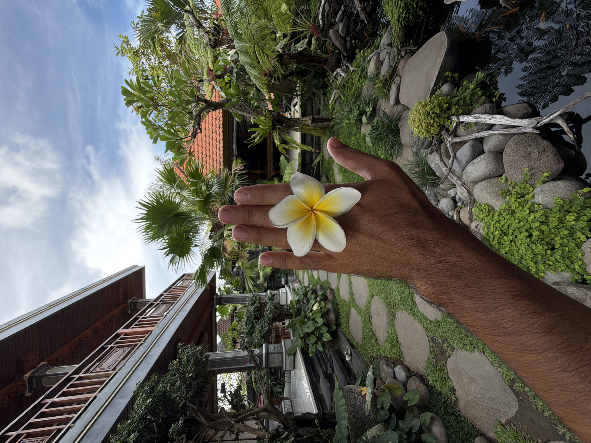 Morning tropical garden moments captured in North Kuta, Indonesia