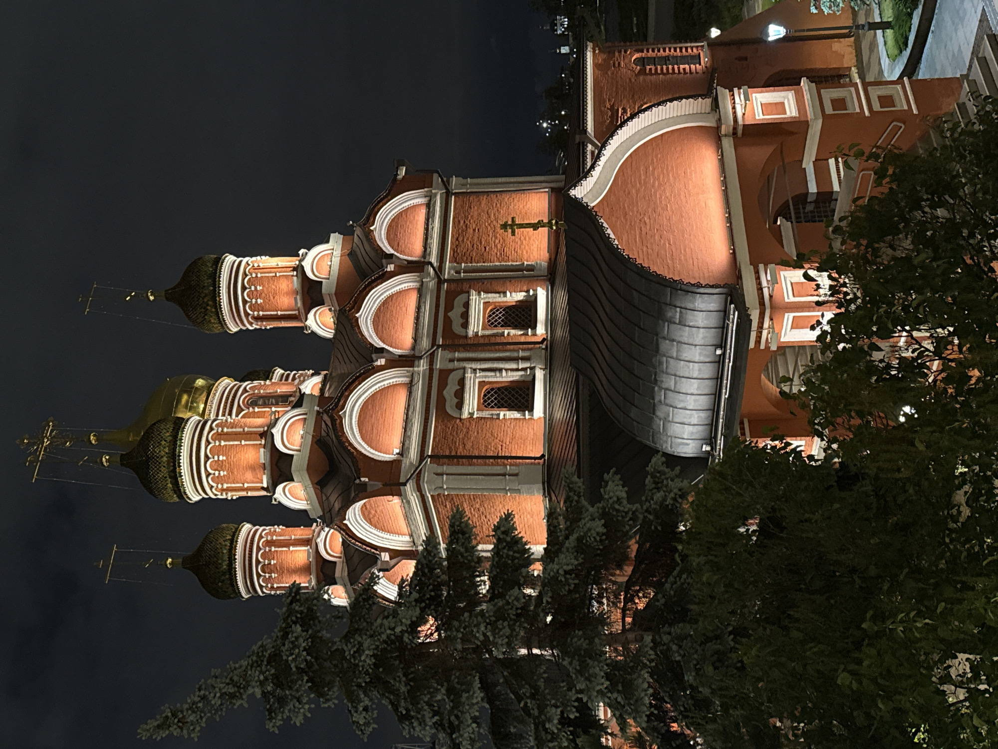Domed cathedral photographed illuminated at night