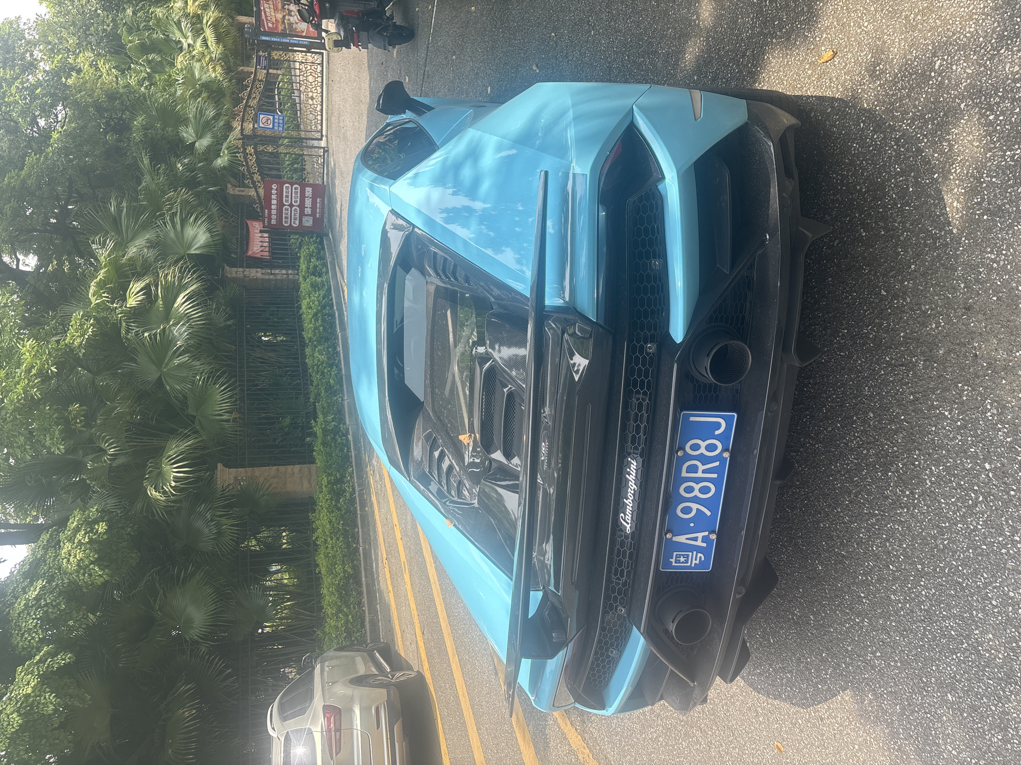 Blue Lamborghini spotted in Nanhai alongside a casual park hangout
