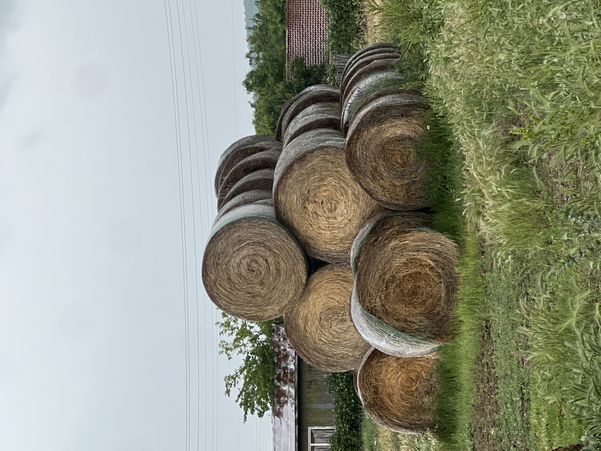 Rainy morning documented in rural Bulgarian village