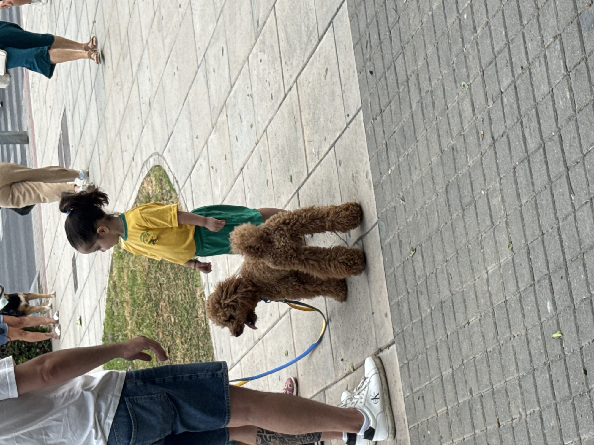 Morning park activities documented along tree-lined pathway