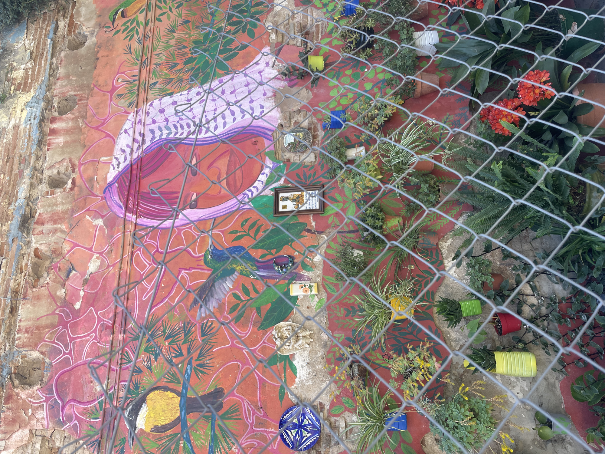 Nature mural with birds, plants spotted on Barcelona wall