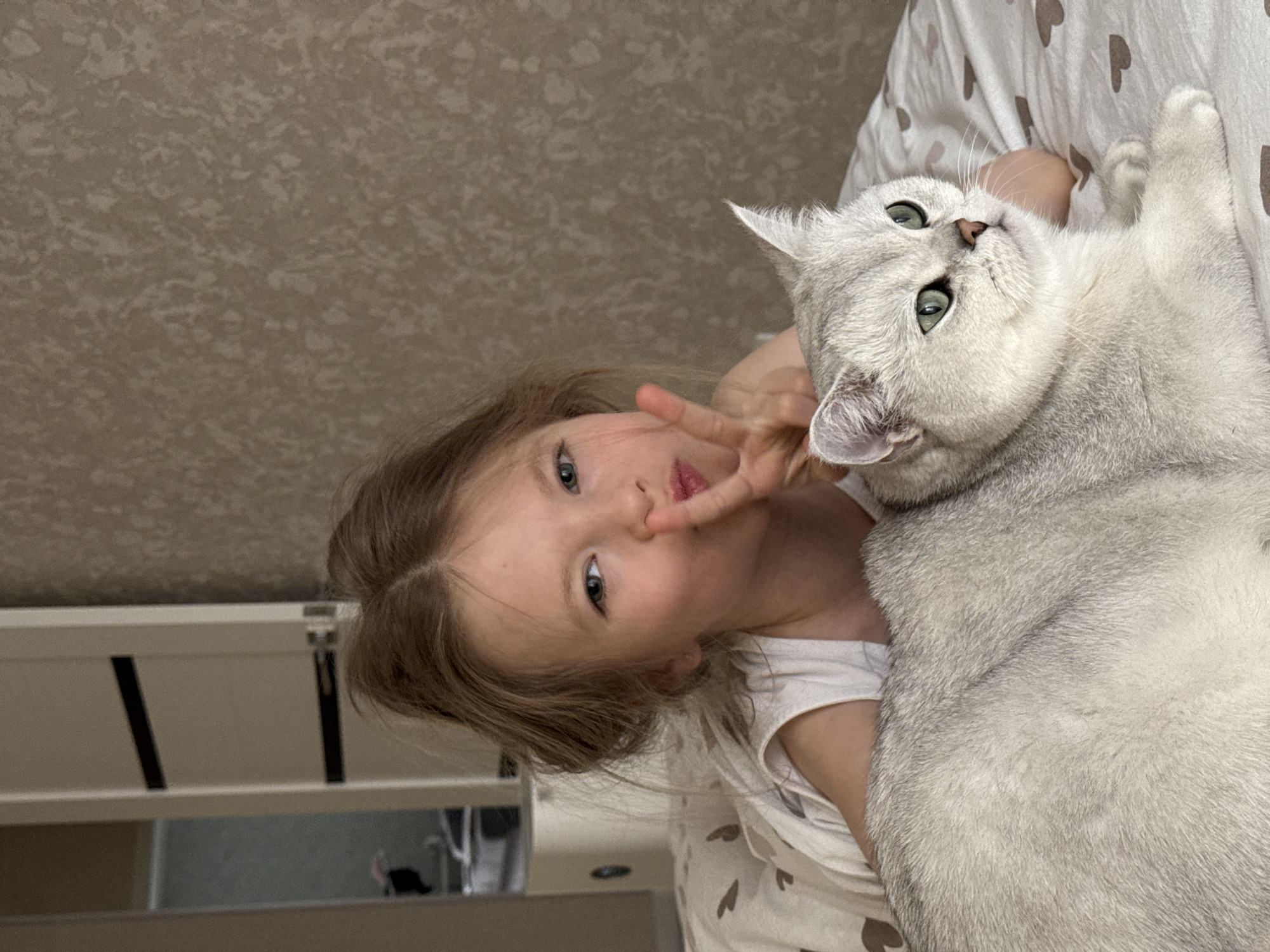 Early morning bedroom moments with cat in Izhevsk