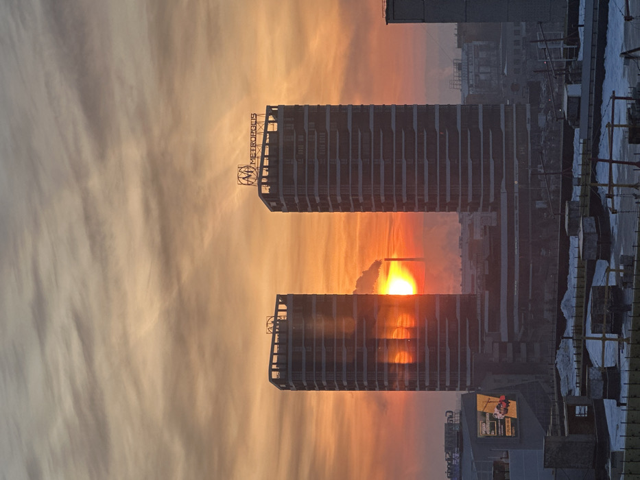 Krasnoyarsk resident captures cats and twilight cityscape moments