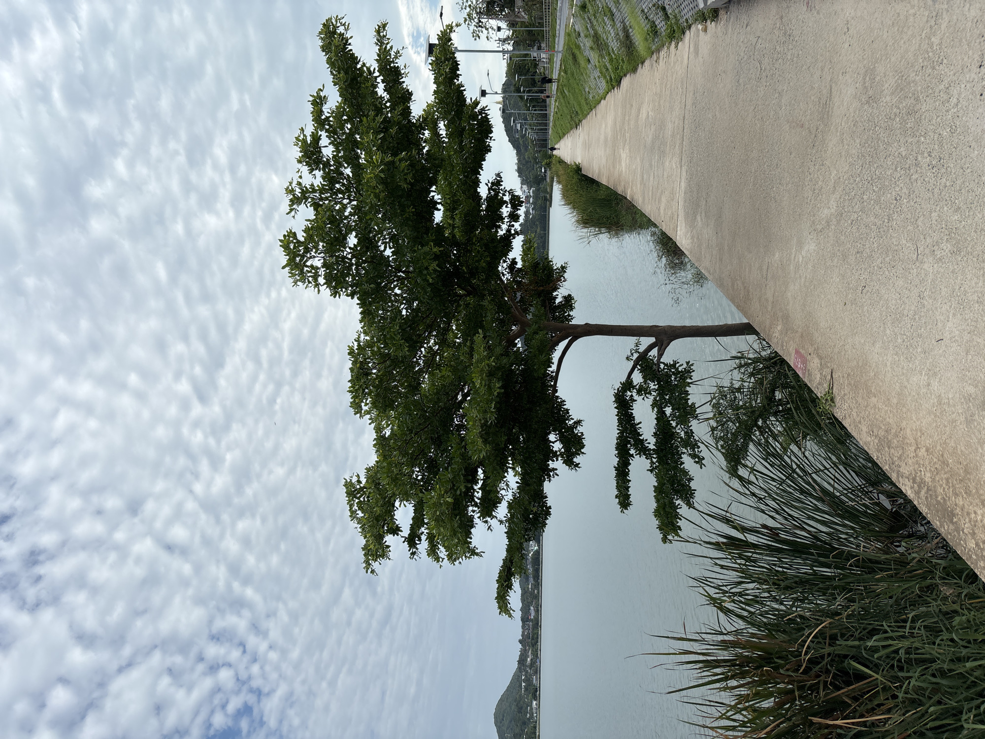Woman observed at waterfront park in Baan Chaweng, Thailand