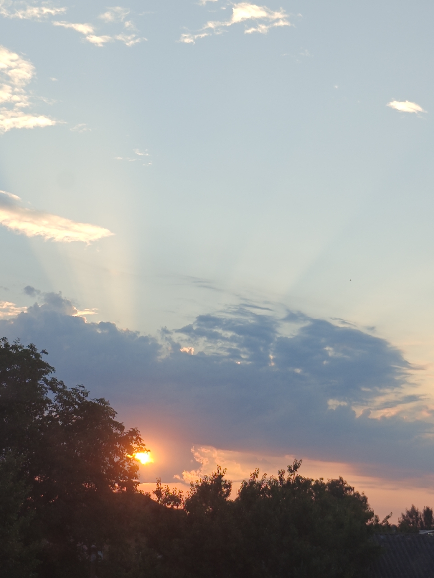 Backyard pets, playground moments, and a striking Hadiach sunset.