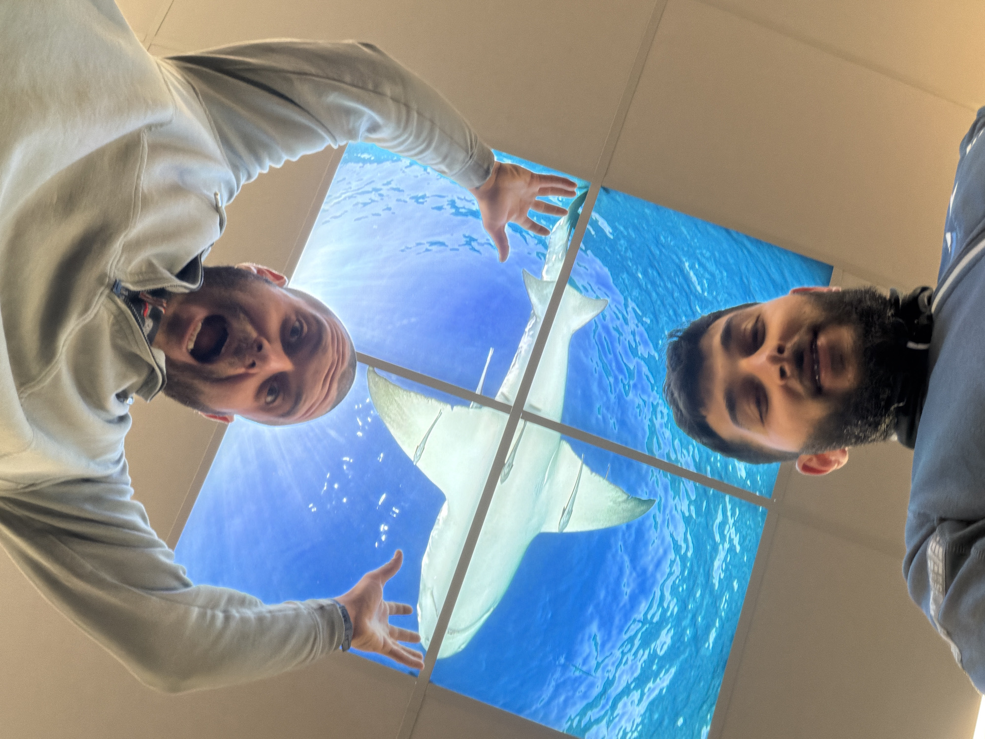 Two men observe camera beneath shark ceiling display in Ede