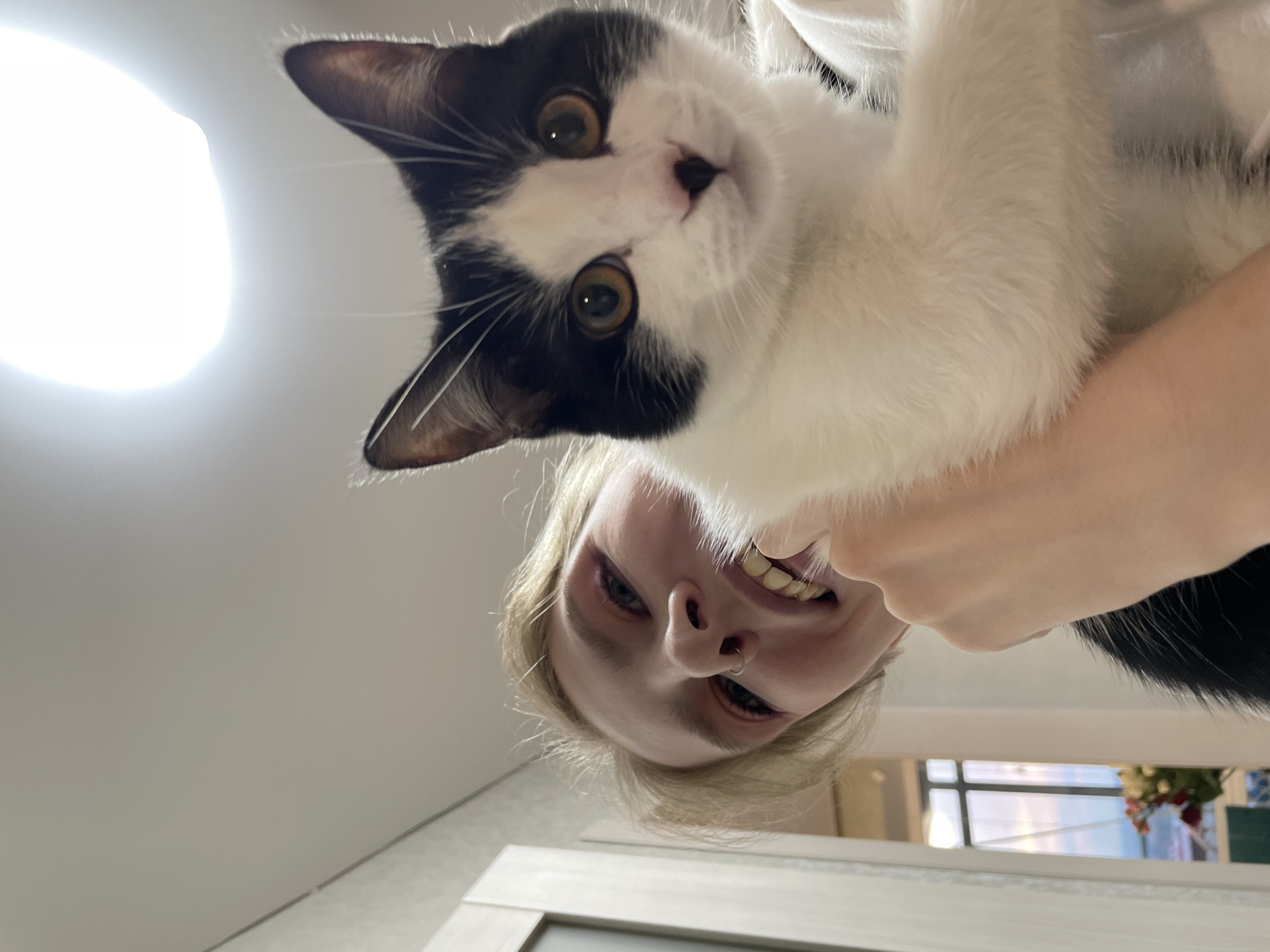 Cat owner and sunset viewer share quiet moments in Izhevsk