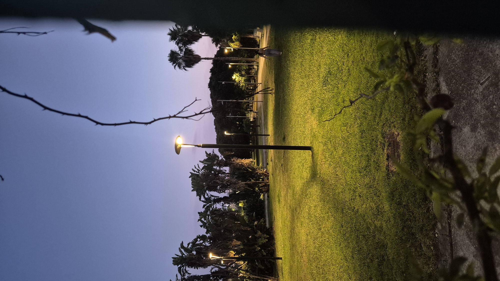 Parks, city streets, and a gym as evening sets in