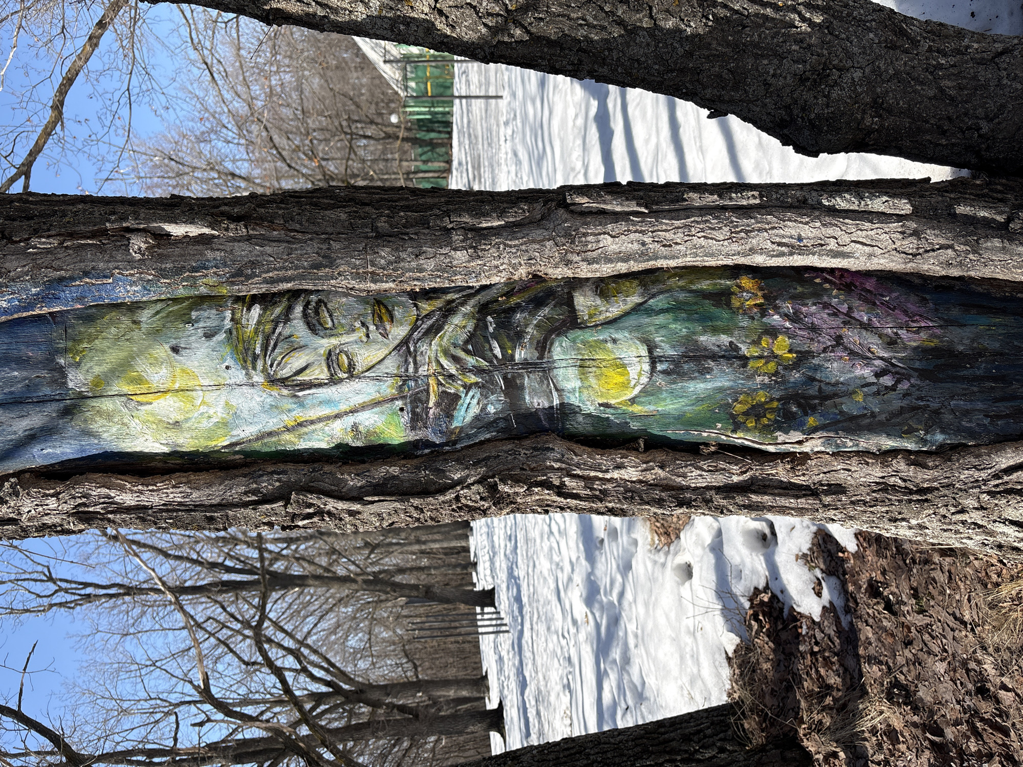 Spring awakening documented in Ulyanovsk birch groves and landscapes