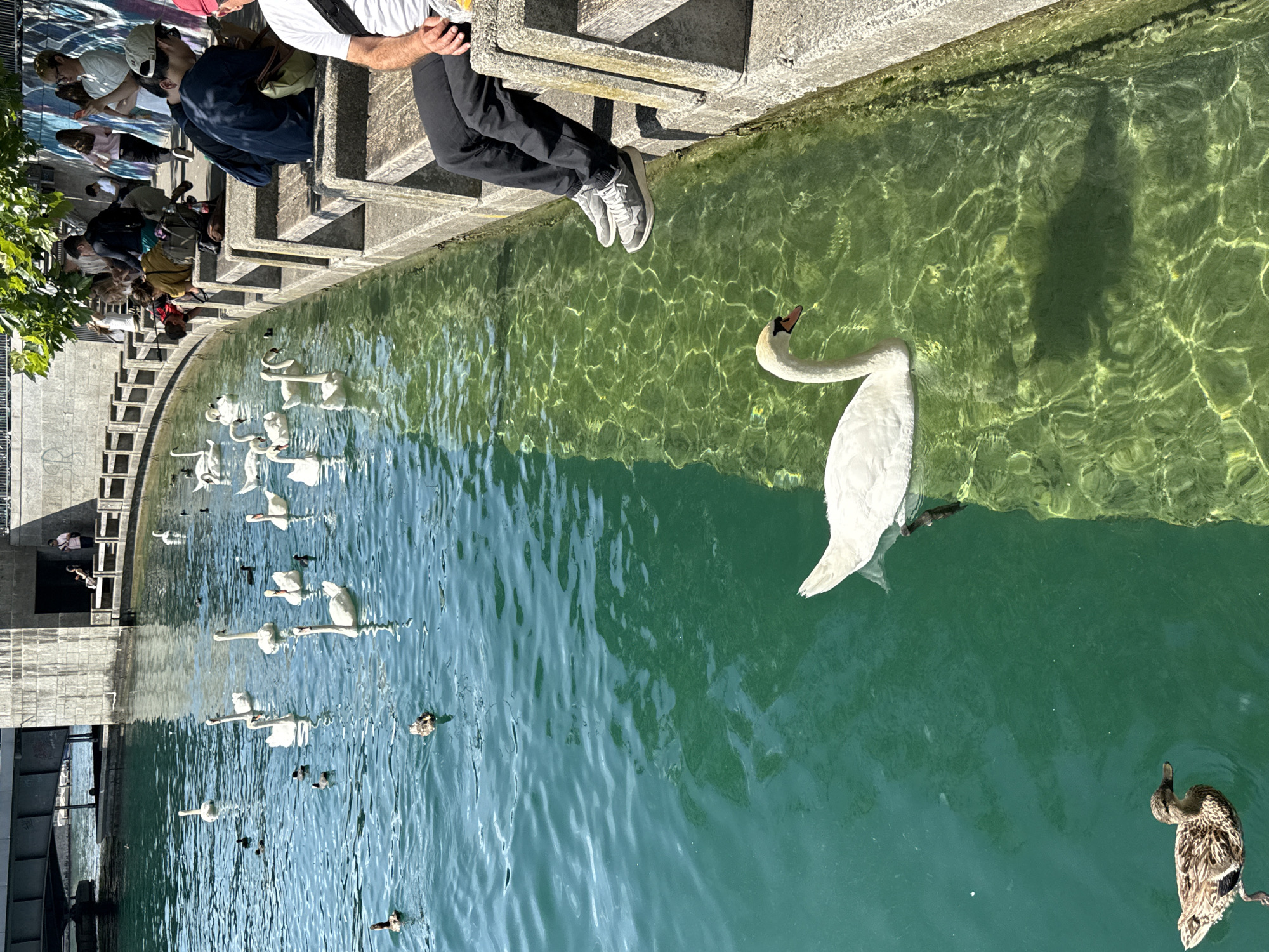 Sunny afternoon along Zurich's waterfront and Old Town streets