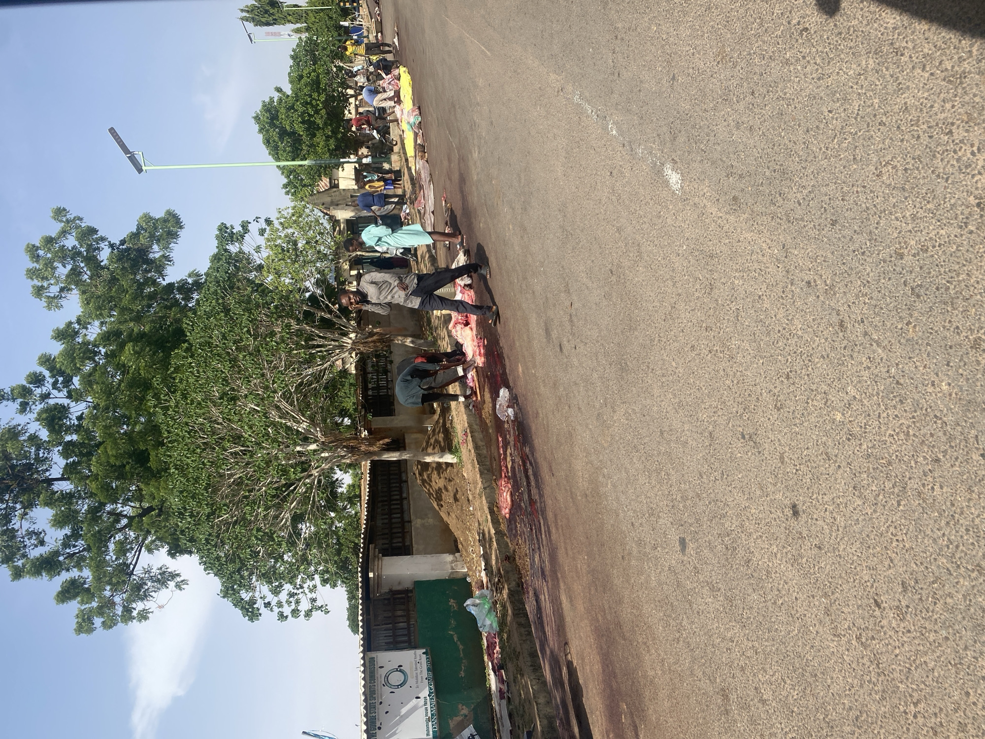 Roadside commerce and meat processing documented in Gombe, Nigeria