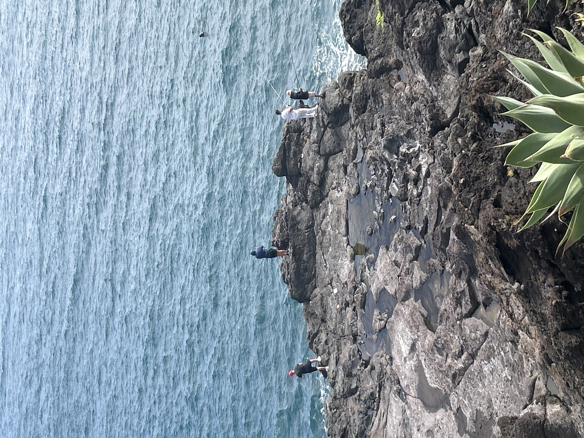 Daily life captured in Portuguese fishing village of Câmara de Lobos