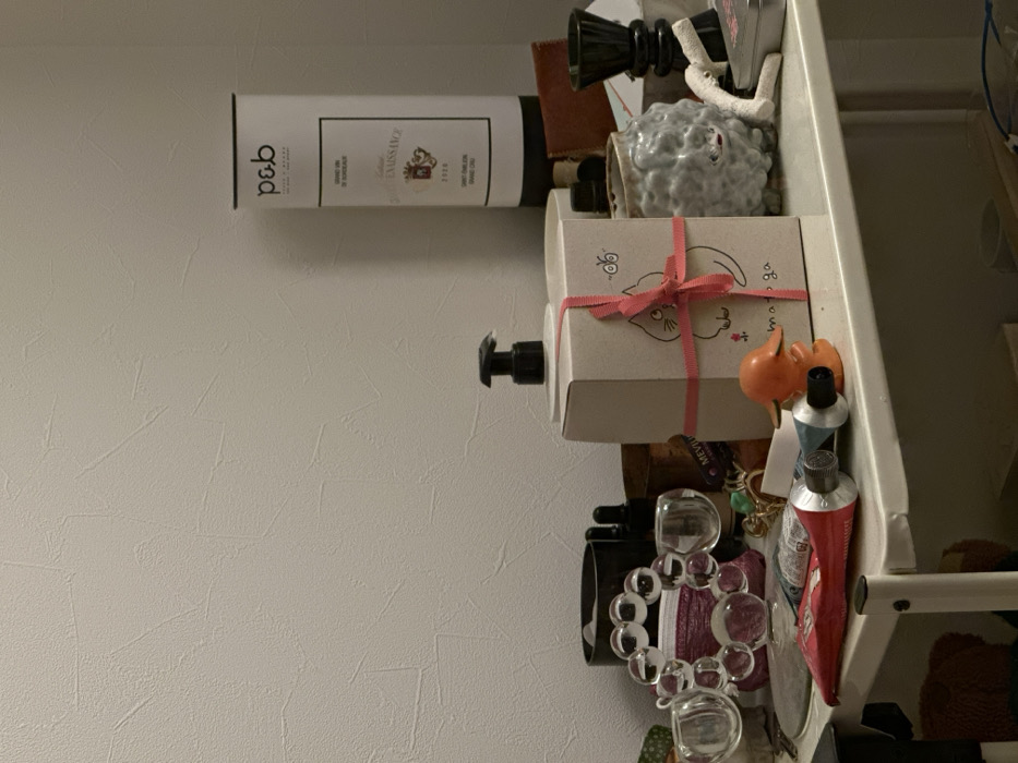 Interior shelf scene documented in Suginami residential space