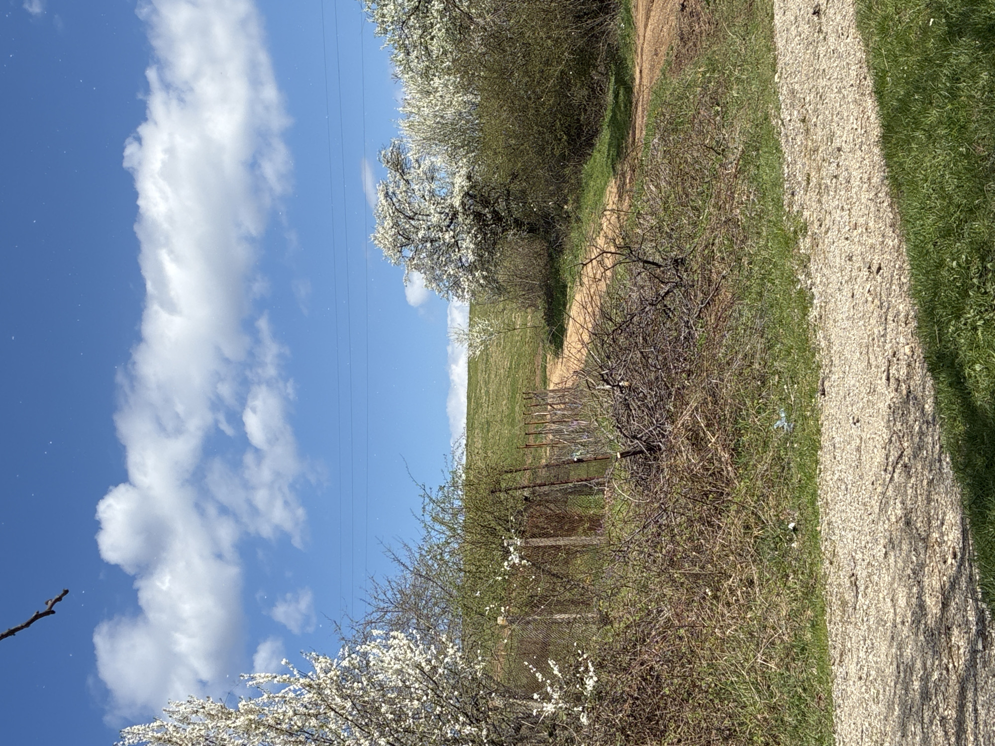 Rural landscapes documented near Berkovitsa, Bulgaria countryside