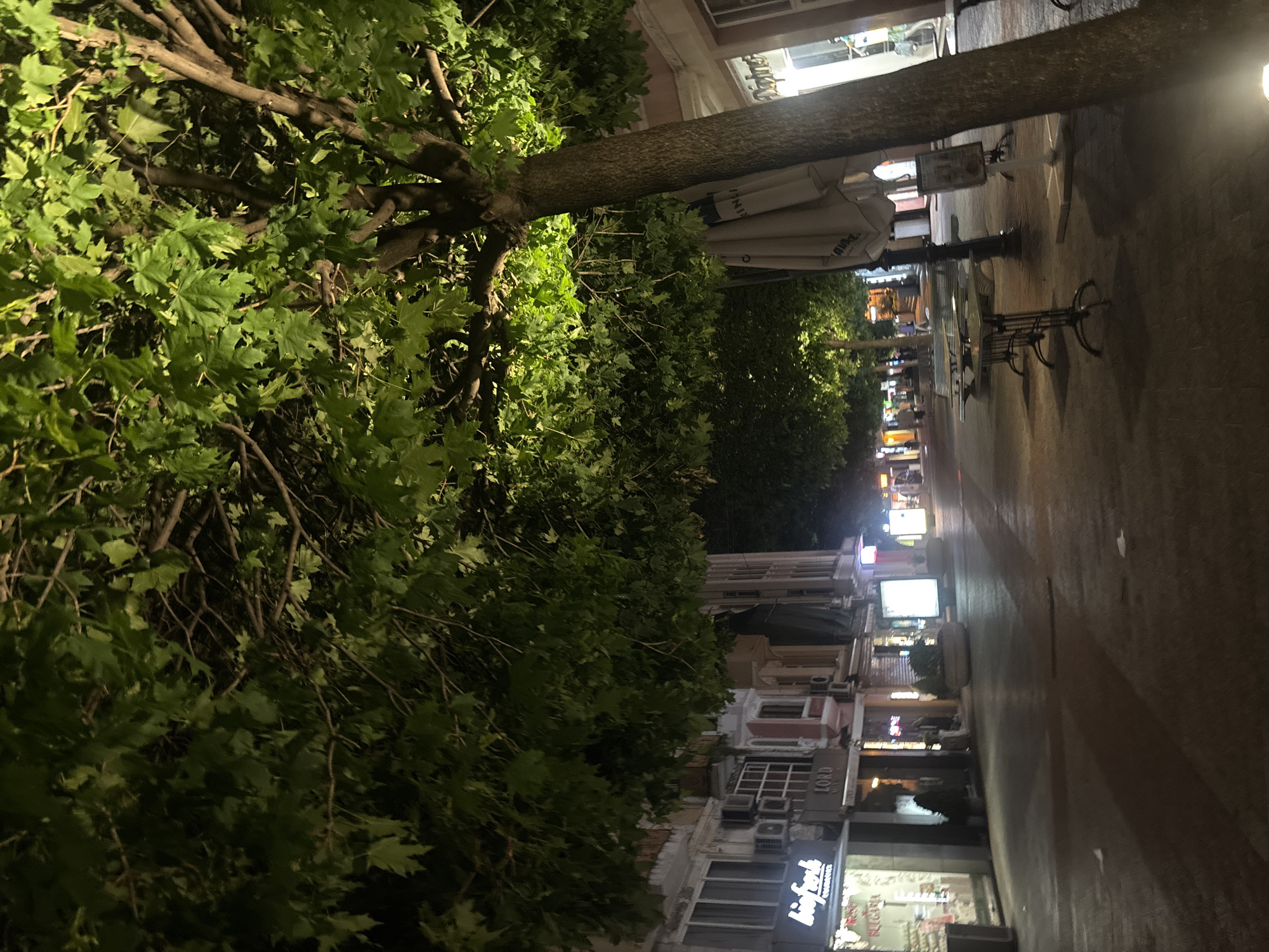 Friends socialize on nighttime streets in Plovdiv, Bulgaria