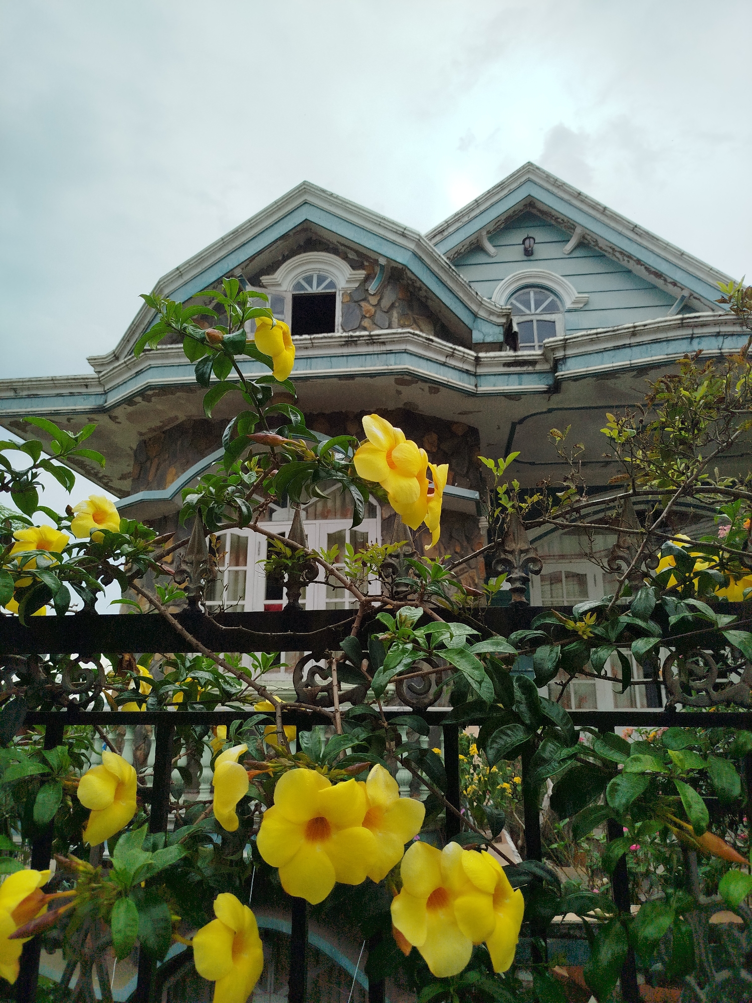 Morning architectural survey captures diverse residential styles in Đà Lạt