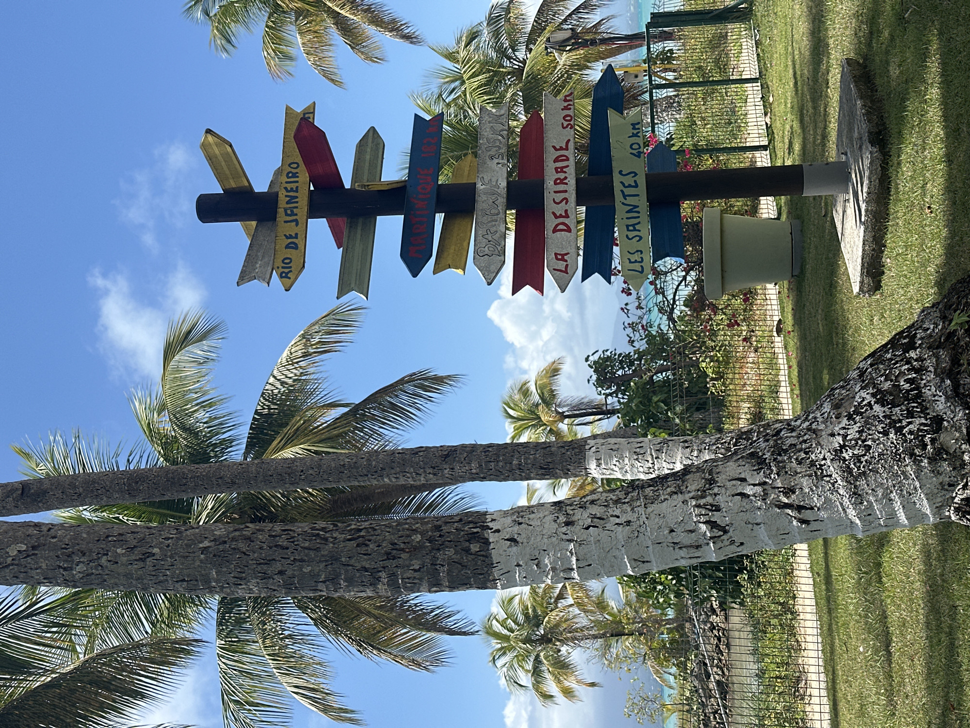 Tourist signpost and palm trees captured in Guadeloupe