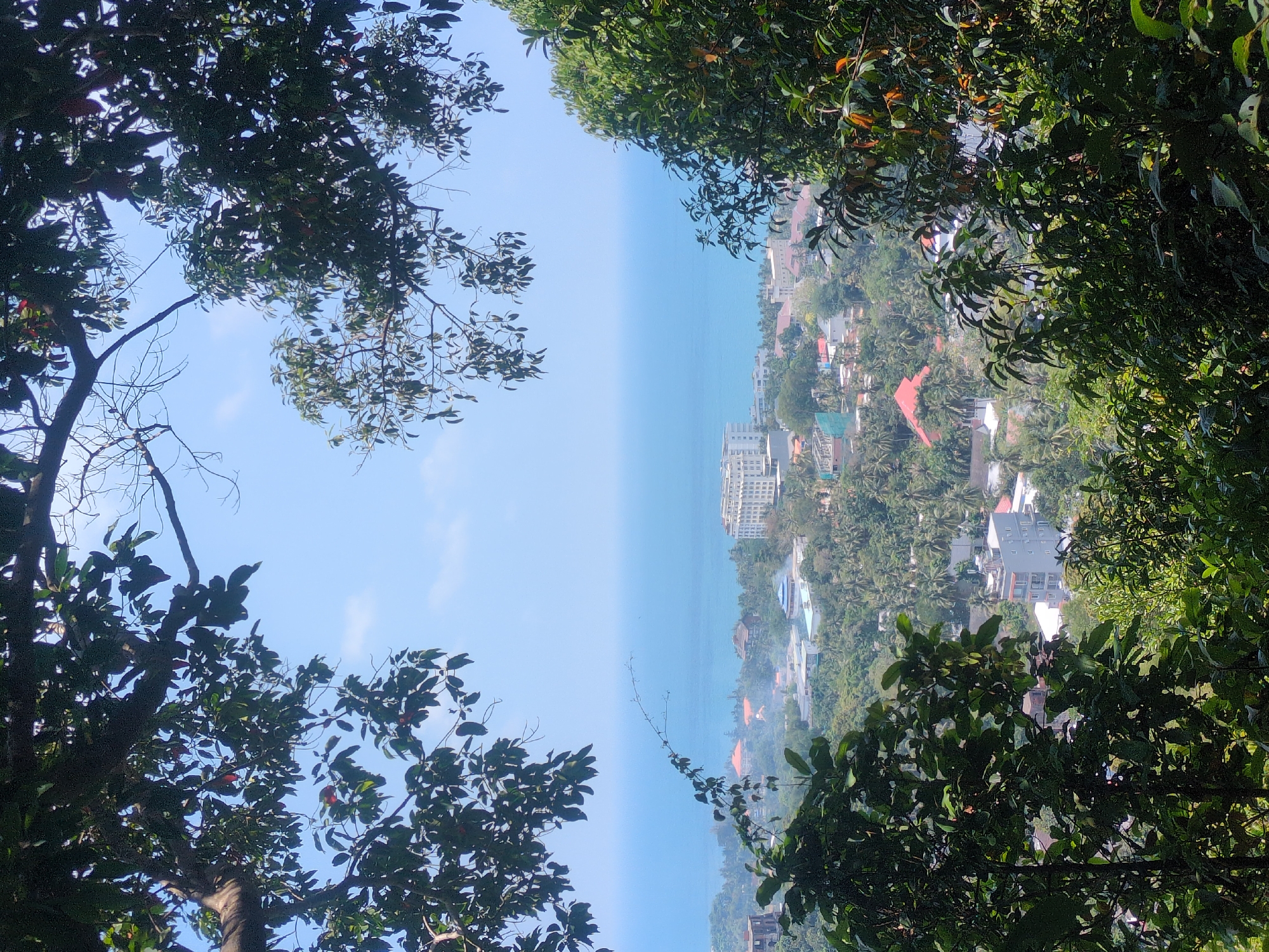 Morning forest views and pathways documented on Phú Quốc island