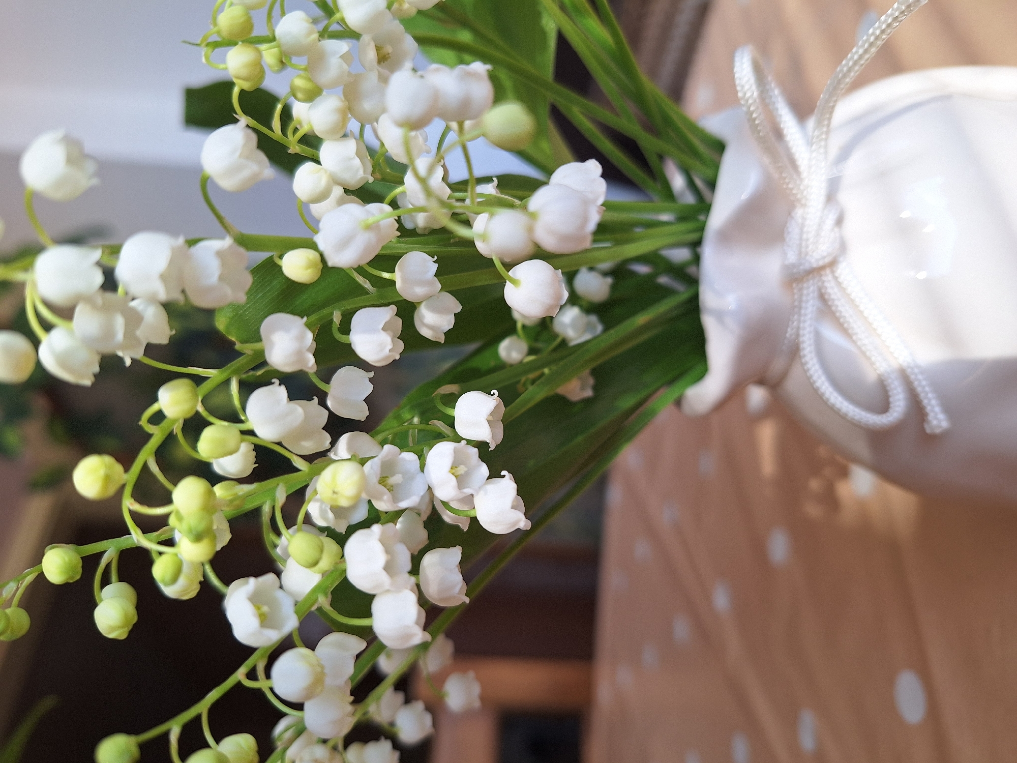 Springtime domestic scene captured in Montana, Bulgaria home