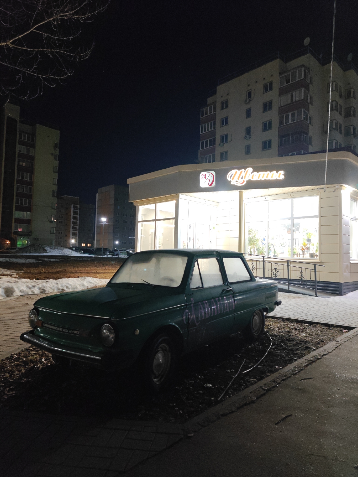 Quiet evening moments with pet captured in Chaikovsky, Russia