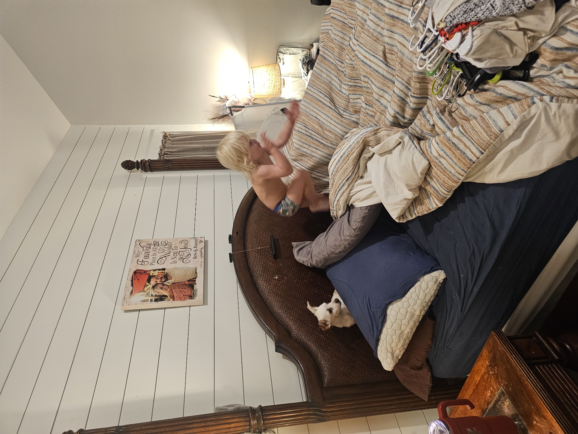 Child jumps on bed with dog in Islamorada room