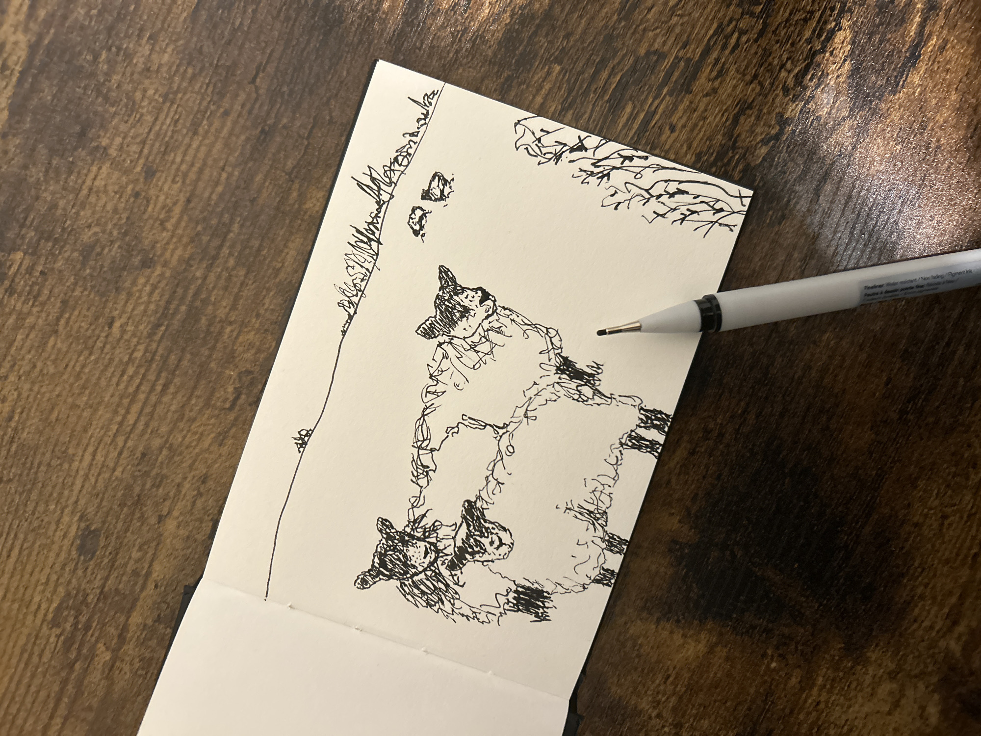 Hand-drawn sheep sketch observed on notebook paper in Manchester