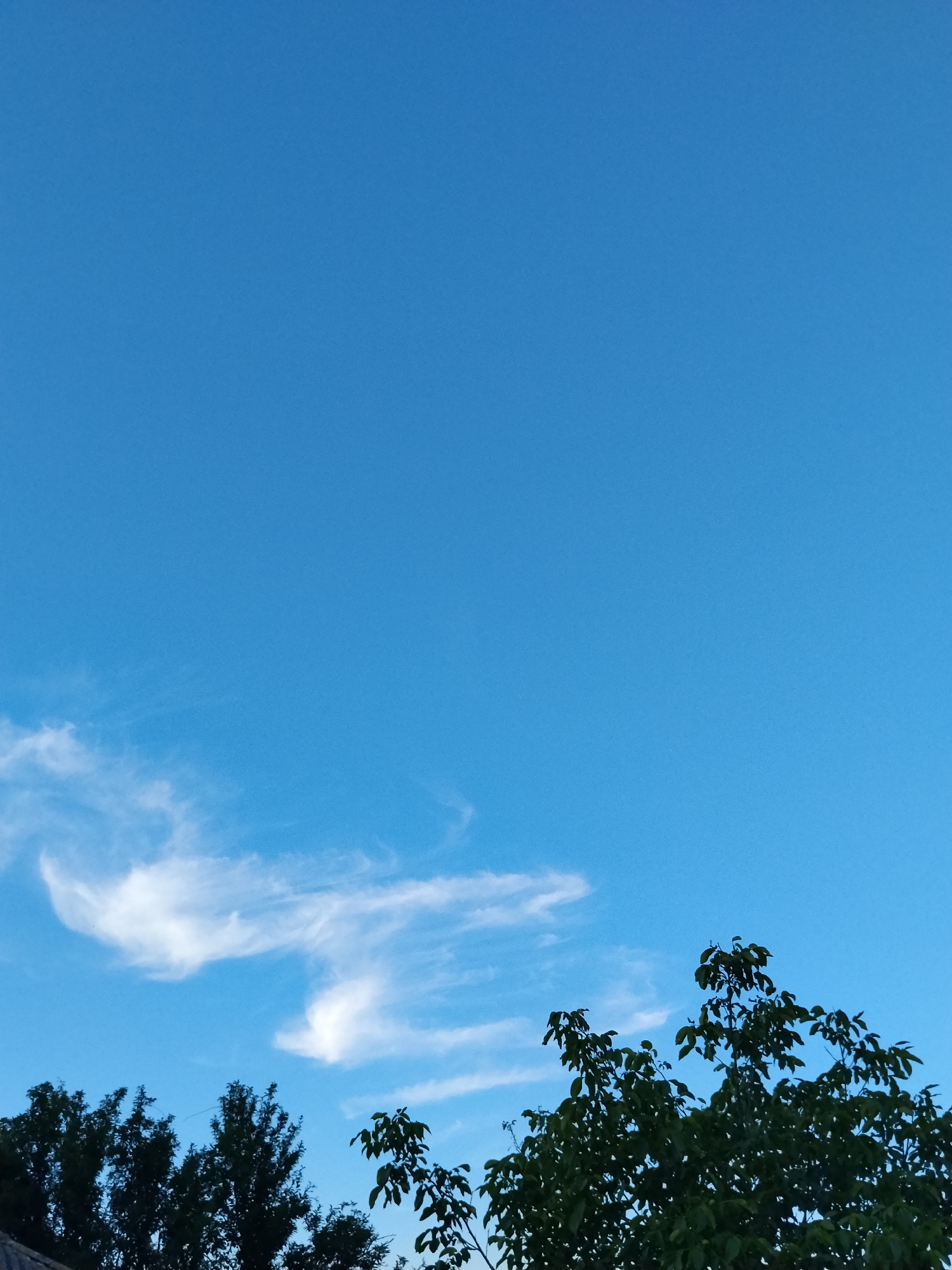 Sky-watching through dusk and moonrise in Ustyvytsia, Ukraine