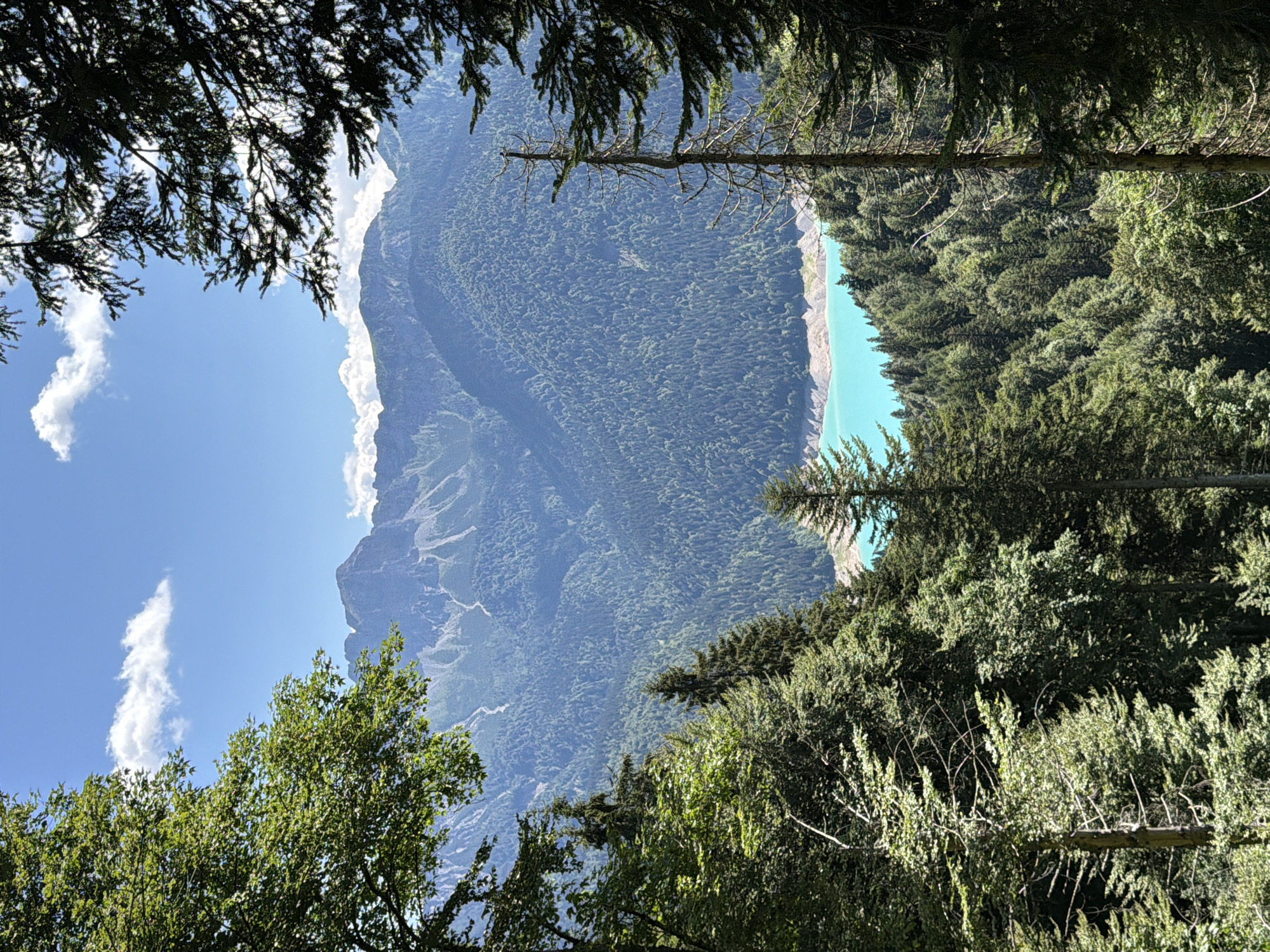 Alpine forest walk with lake views near Lateis, Italy