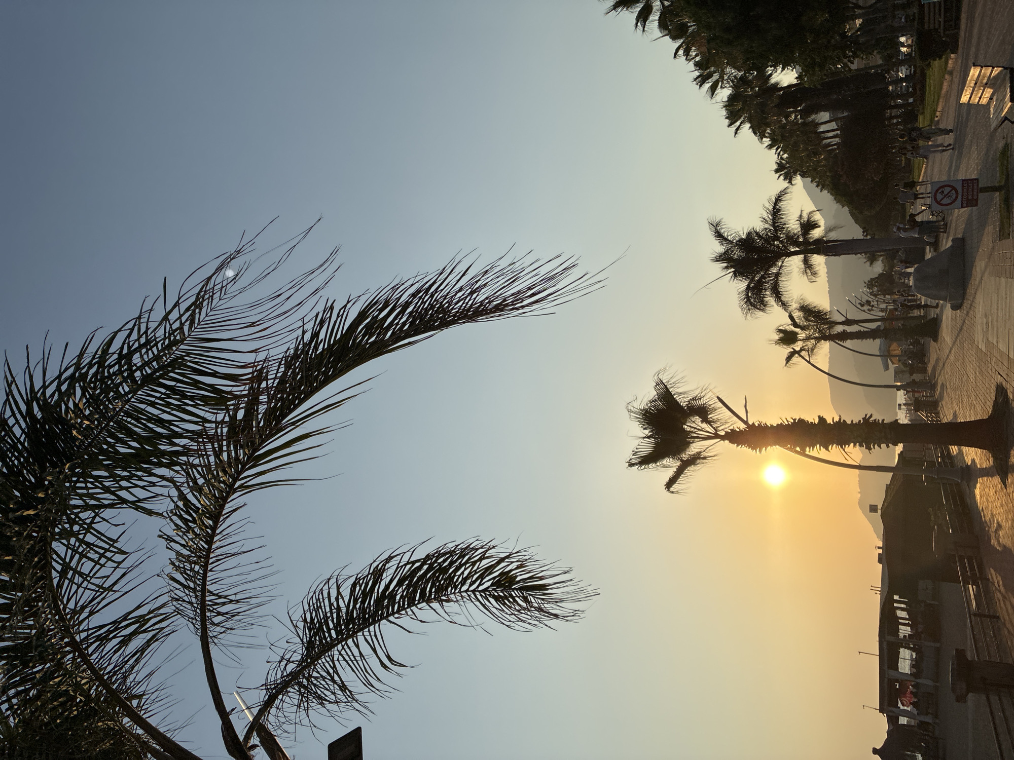 Golden hour along Alanya's palm-lined waterfront