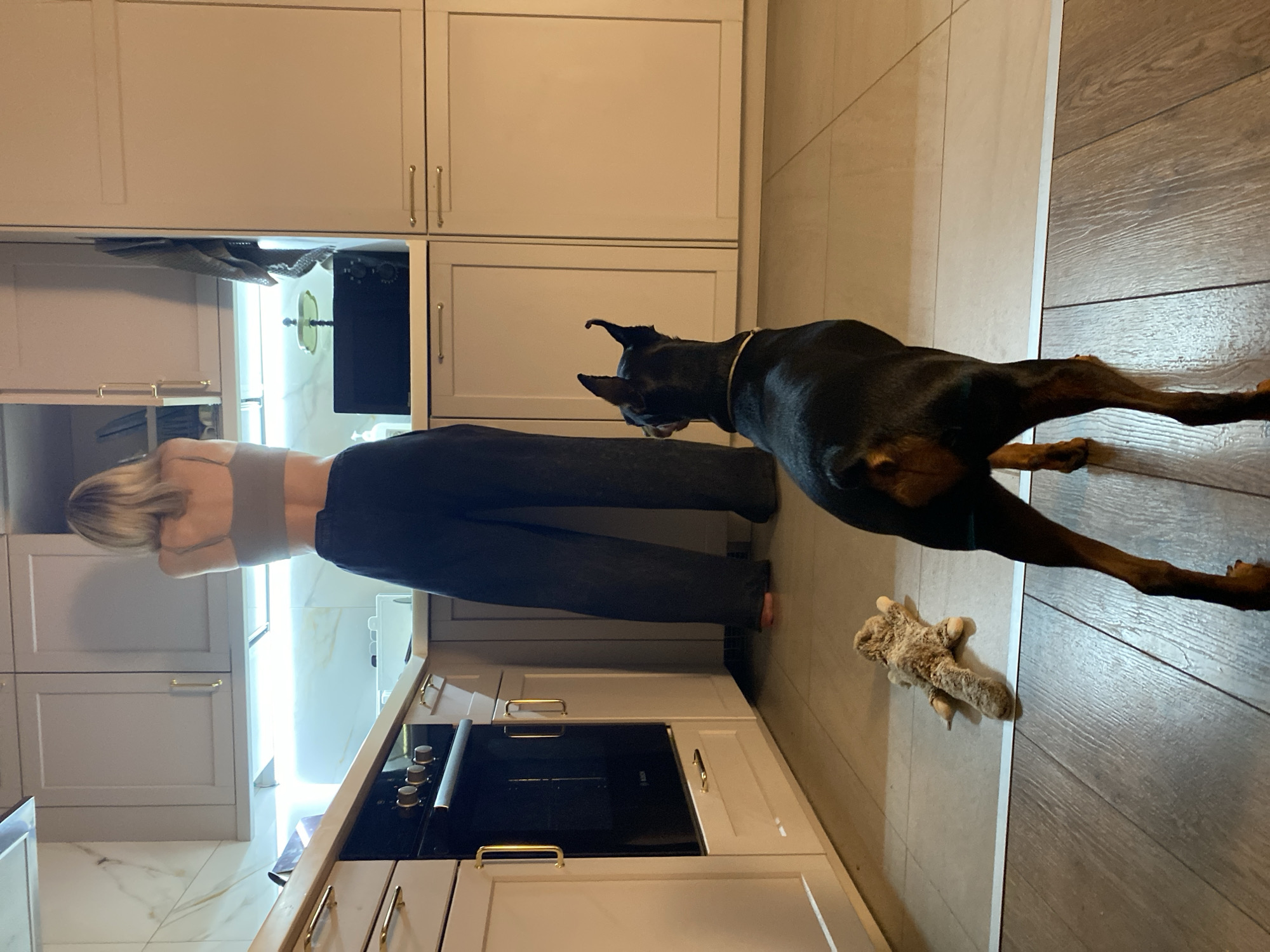 Dogs, tea, and a relaxed evening in a Moscow apartment