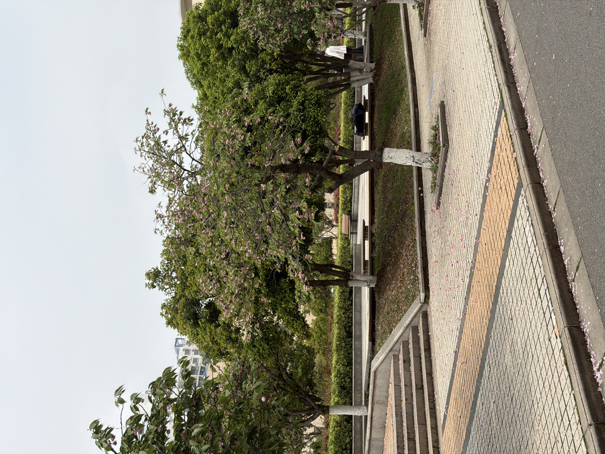 Spring walkways and convenience store documented in Jiangning District