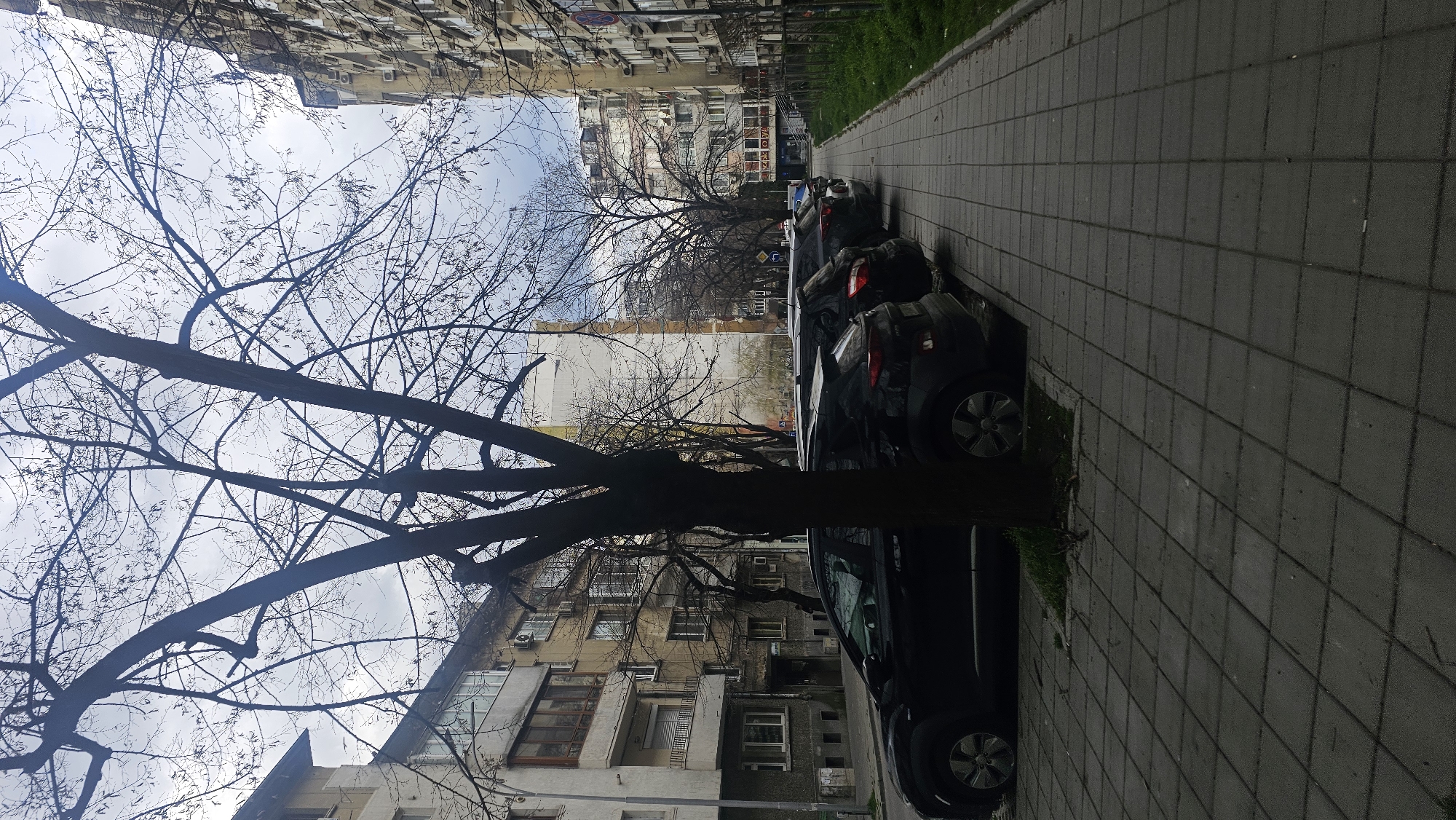 Morning street scene documented in Varna, Bulgaria