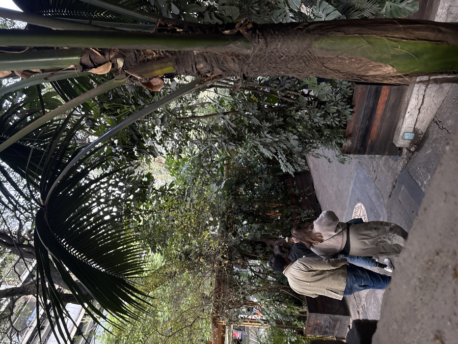 Evening dining experience documented at Mexico City restaurant