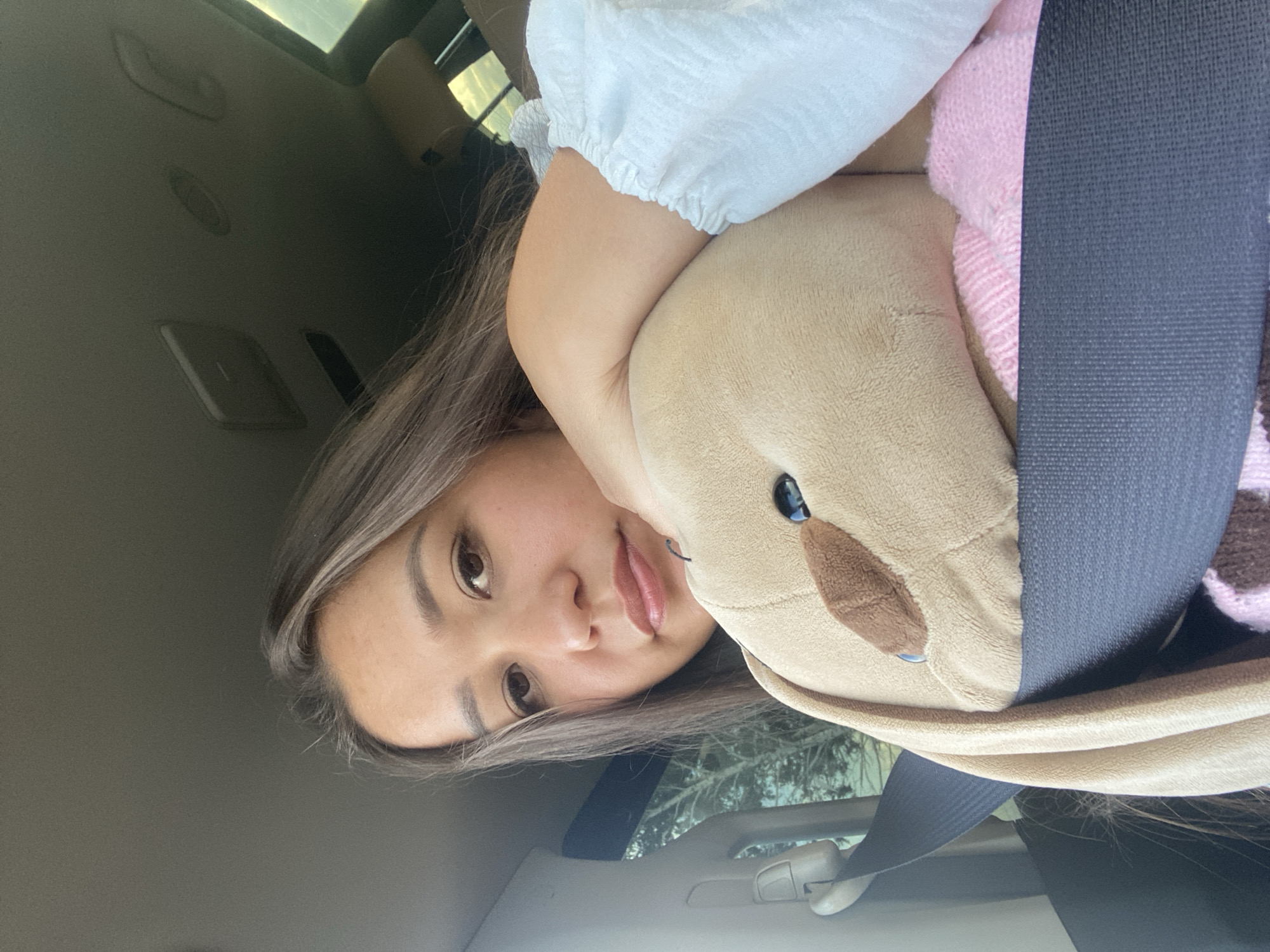 Car selfies with a stuffed bunny in Staromusino, Russia