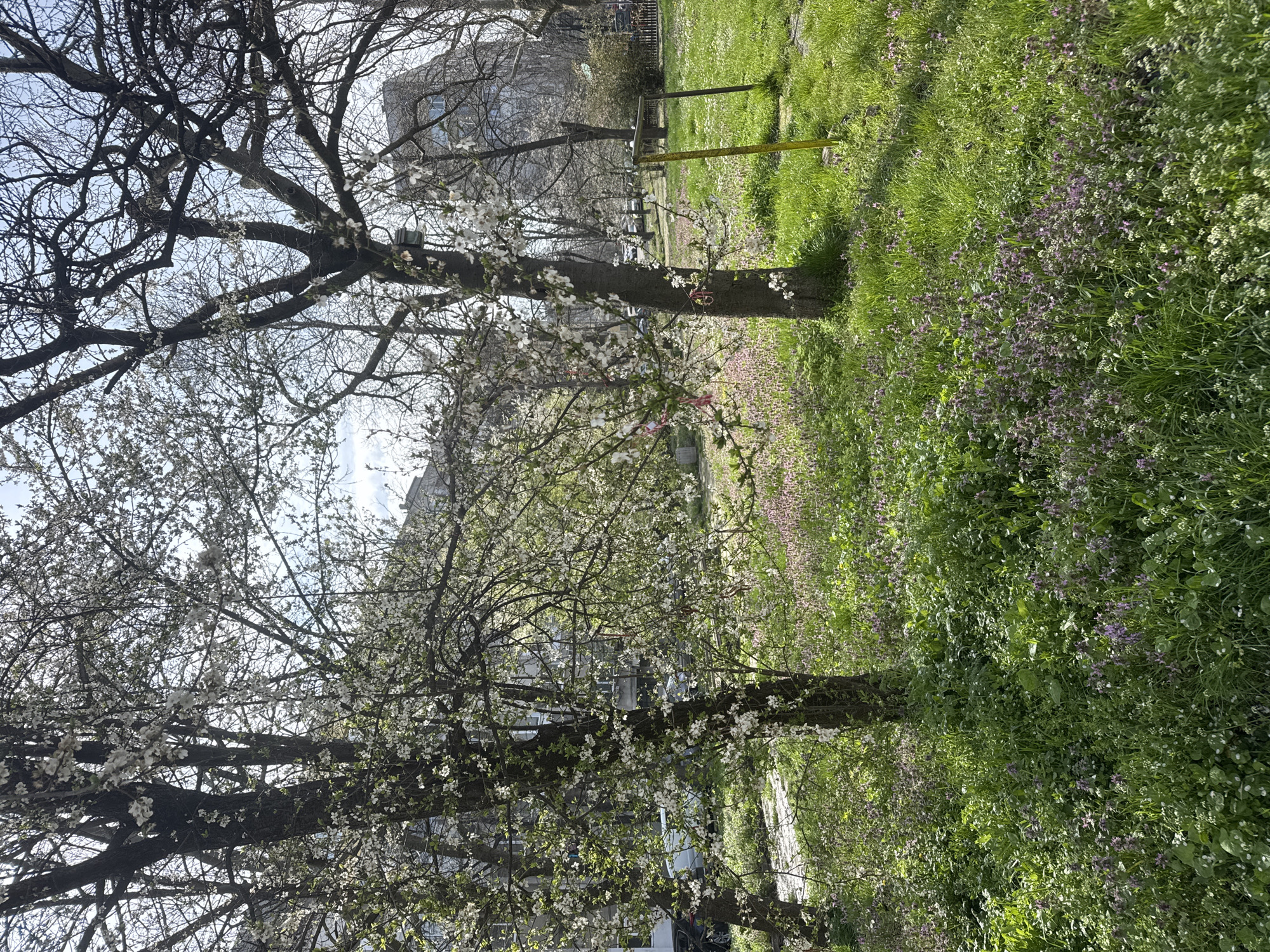 Spring morning documented across parks and streets in Burgas