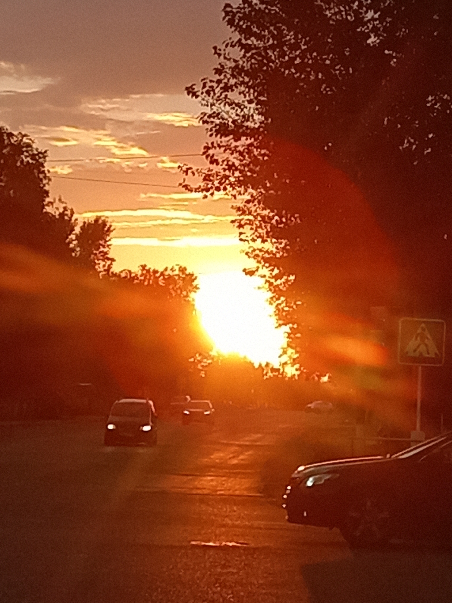 Rudny at golden hour: streets, sculptures, and summer blooms