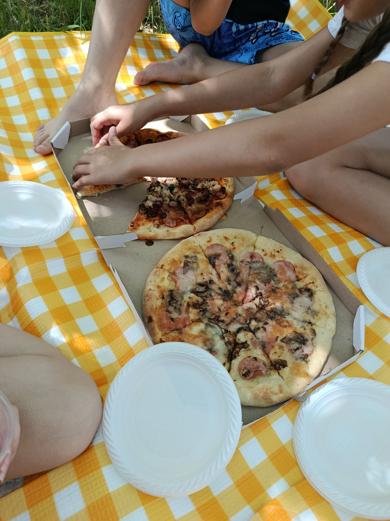 Group enjoys outdoor pizza picnic on checkered blanket