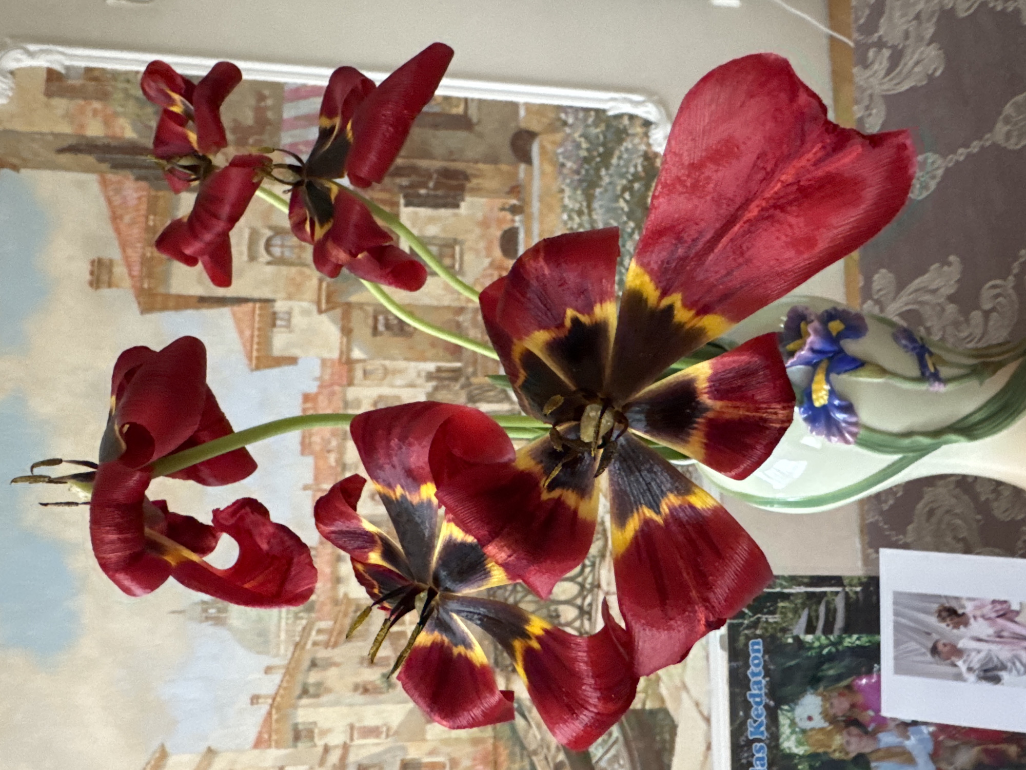 Red and black tulip bouquet displayed in Vsevolozhsk