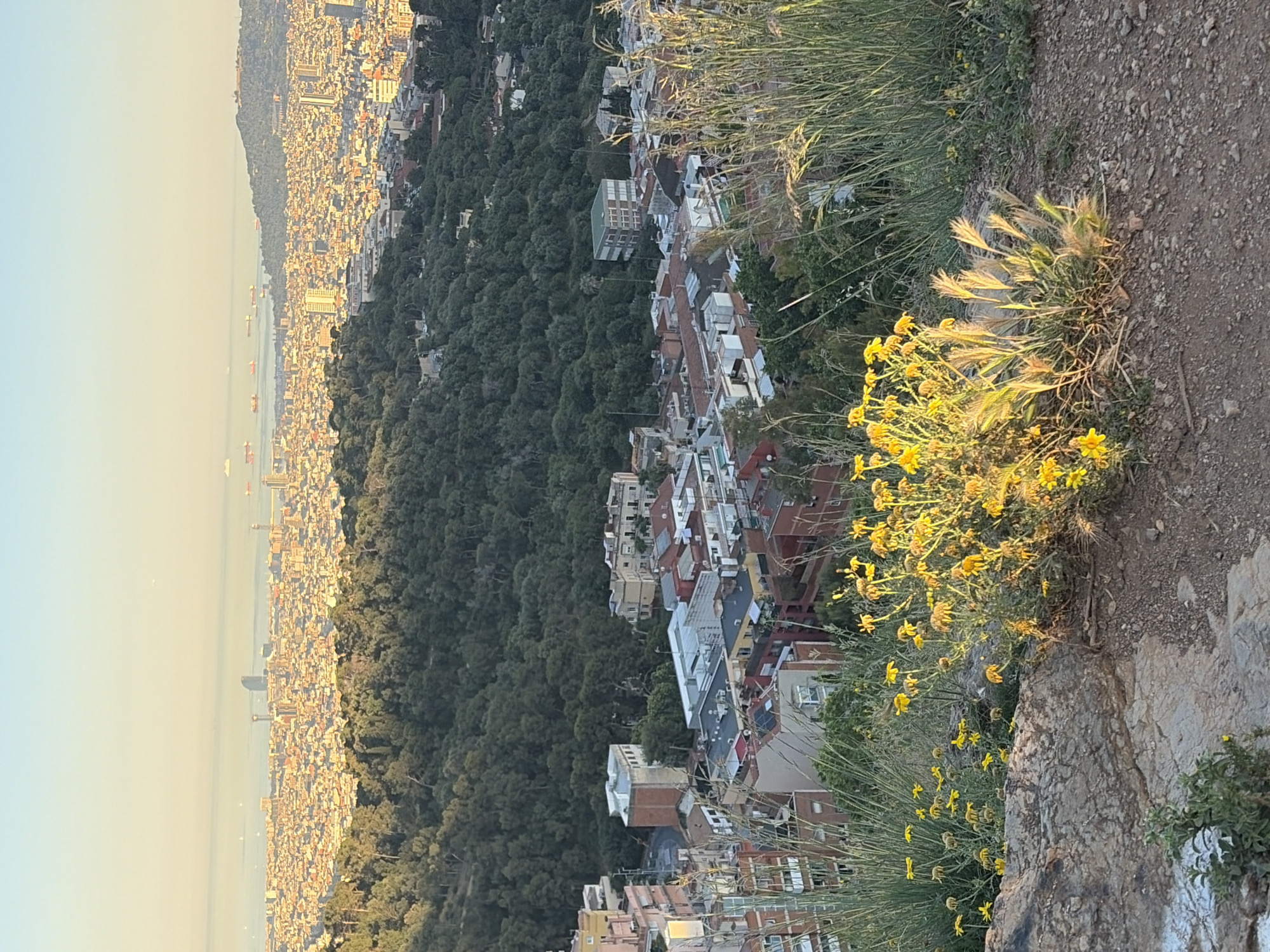 Observer photographs Barcelona cityscape from hillside during golden hour