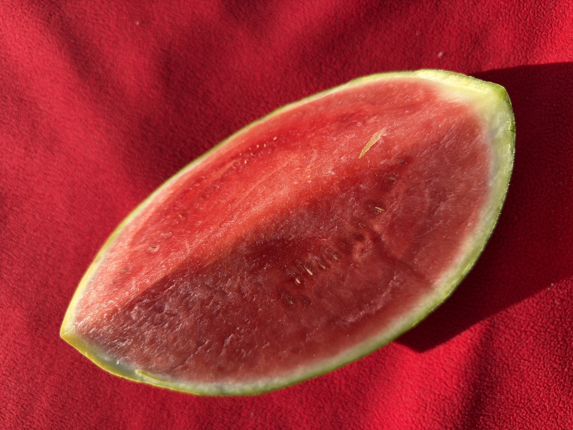 Watermelon slice and woman in NY cap photographed in Vancouver