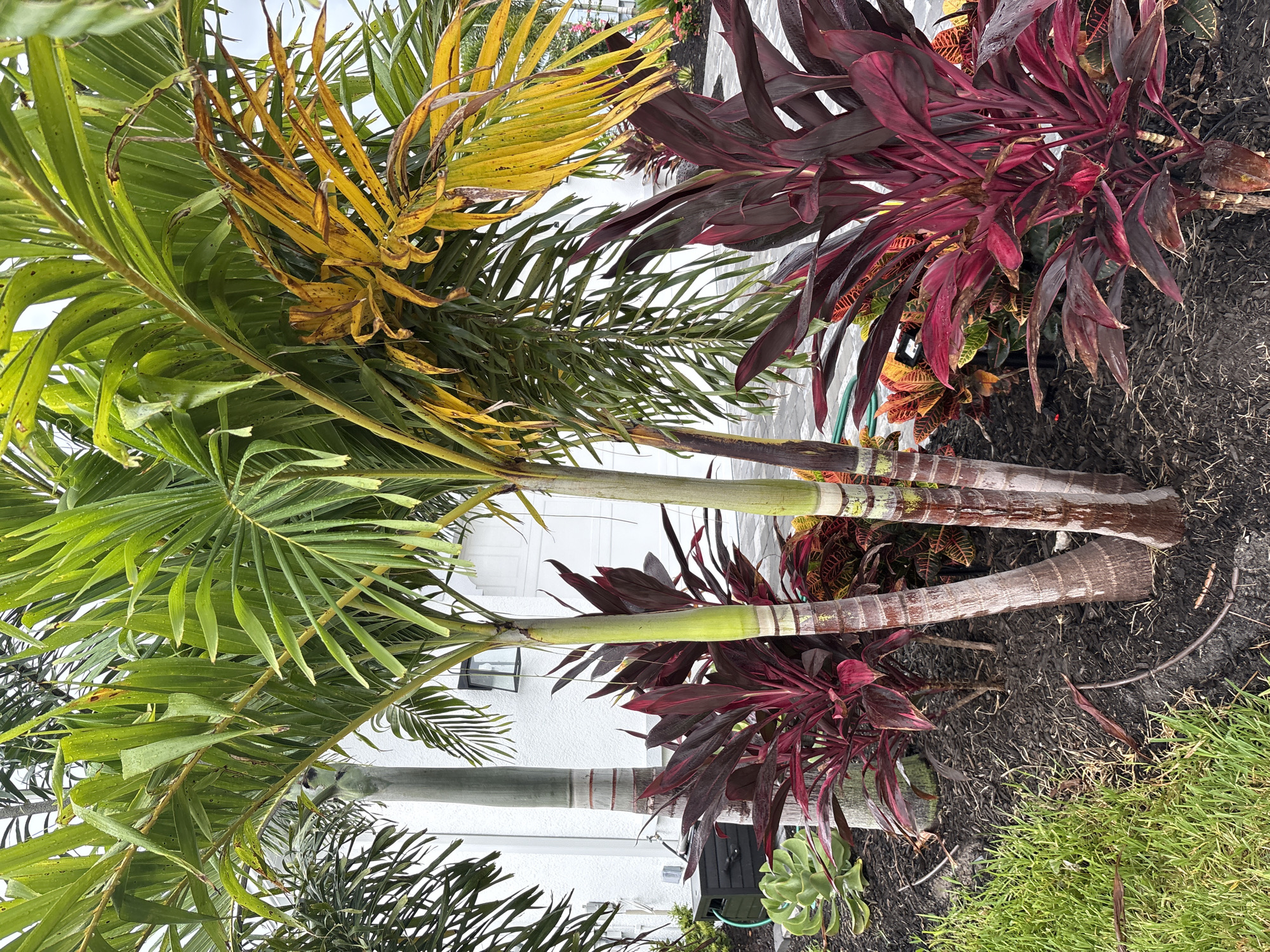 Lakewood Ranch, United States