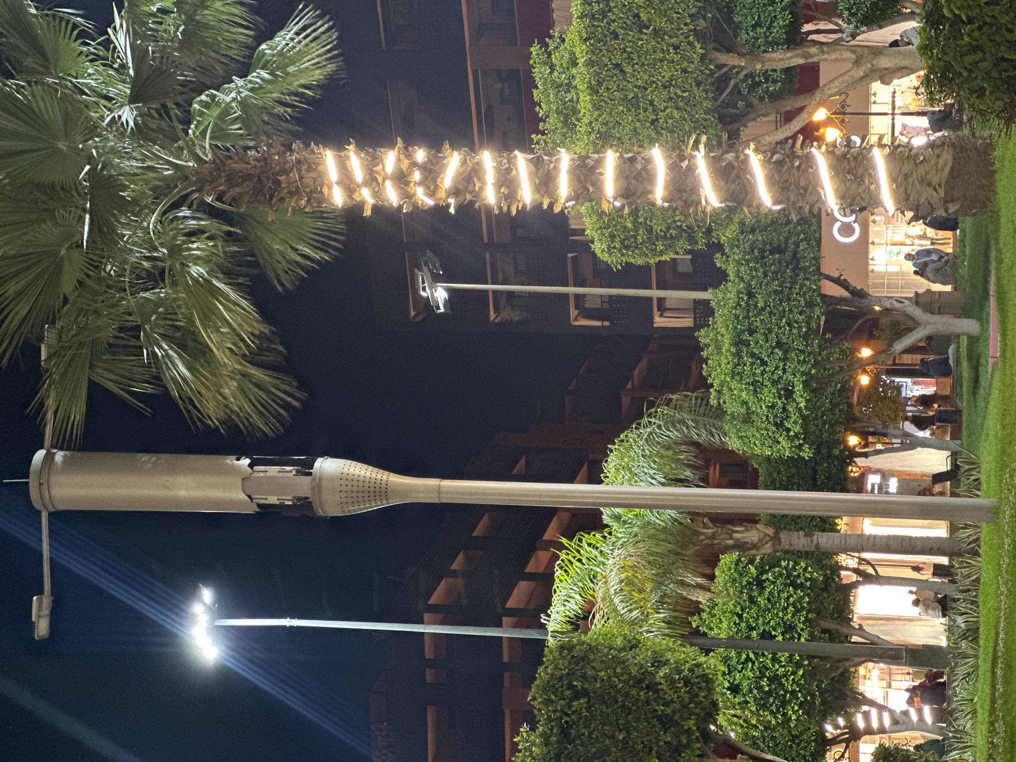 Decorative palm tree lighting documented in nighttime Marrakesh