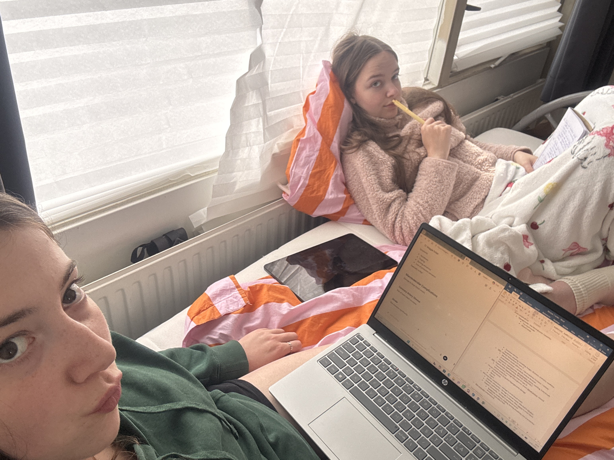 Laptop study session in Enschede bedroom